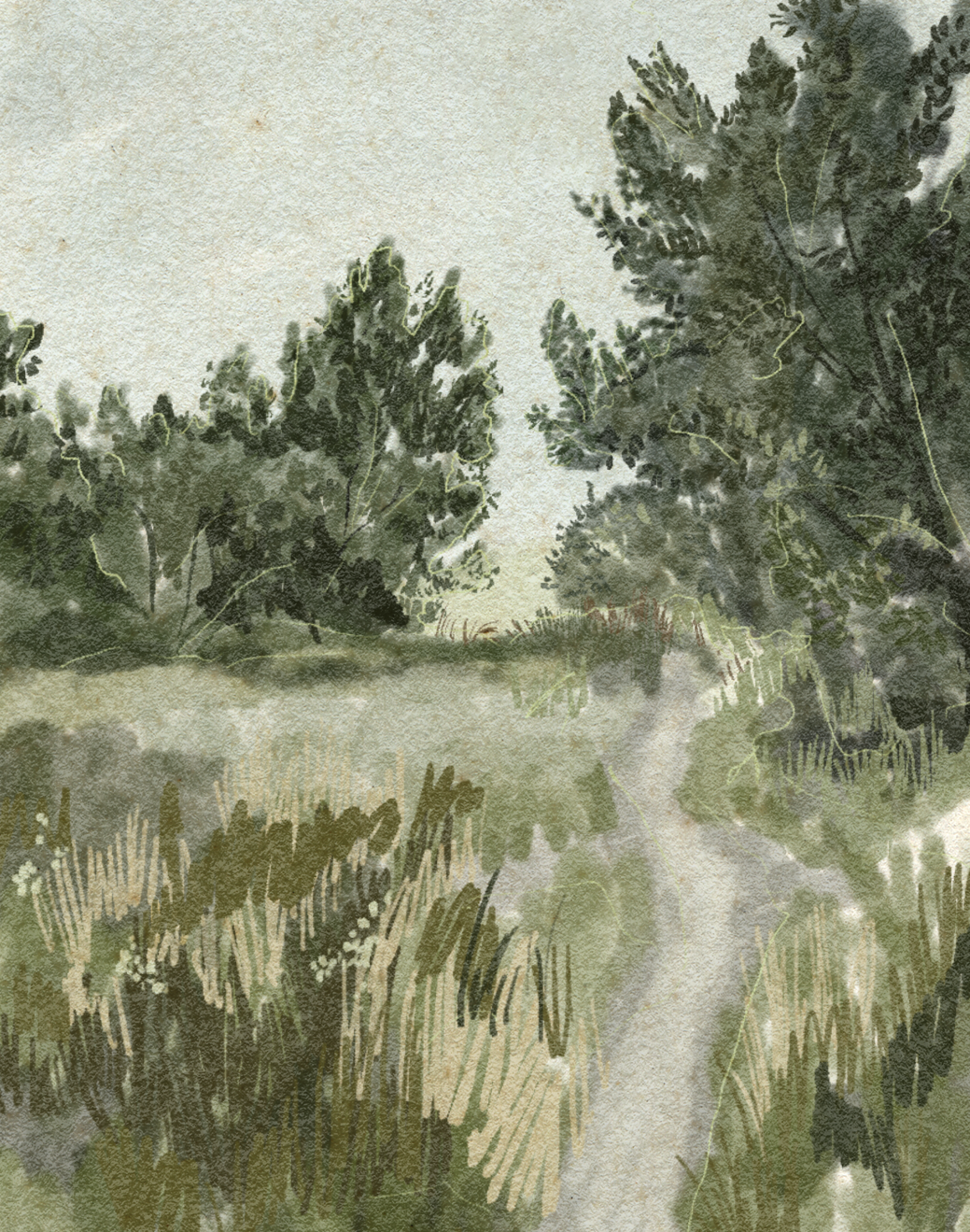 path 01.png