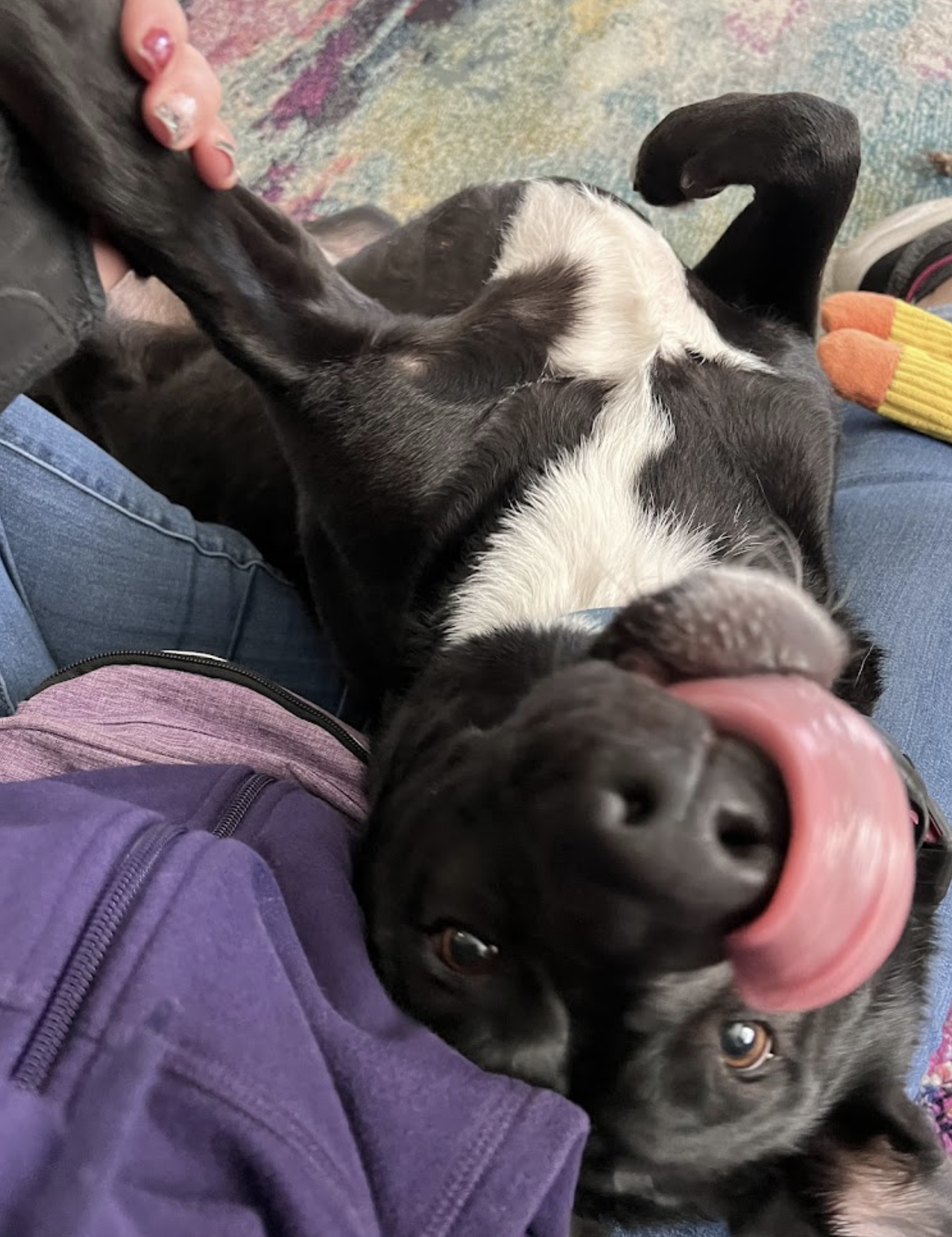 Screen Shot 2024-01-12 at 10.29.37 AM.png