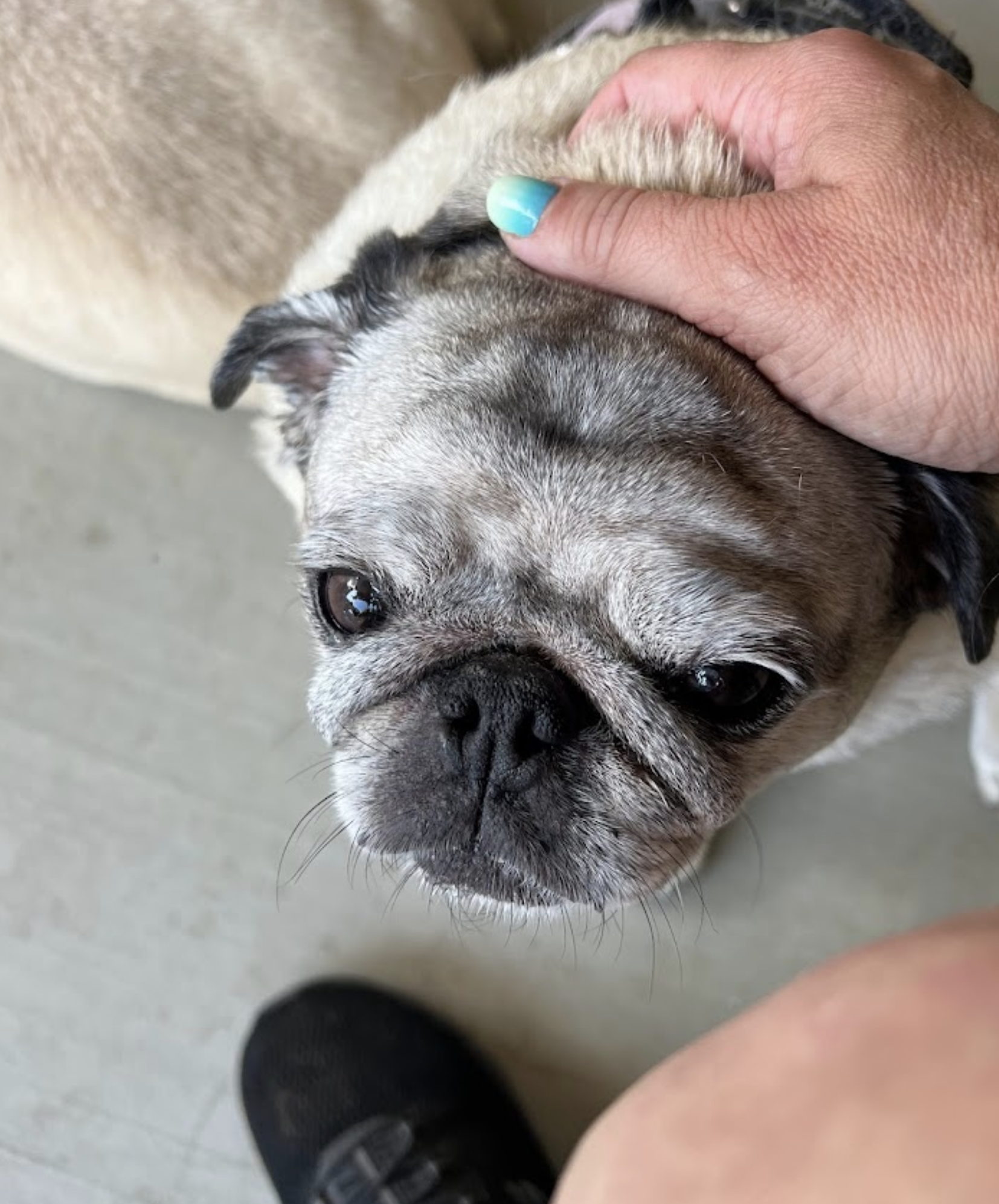 Screen Shot 2024-01-12 at 10.21.25 AM.png