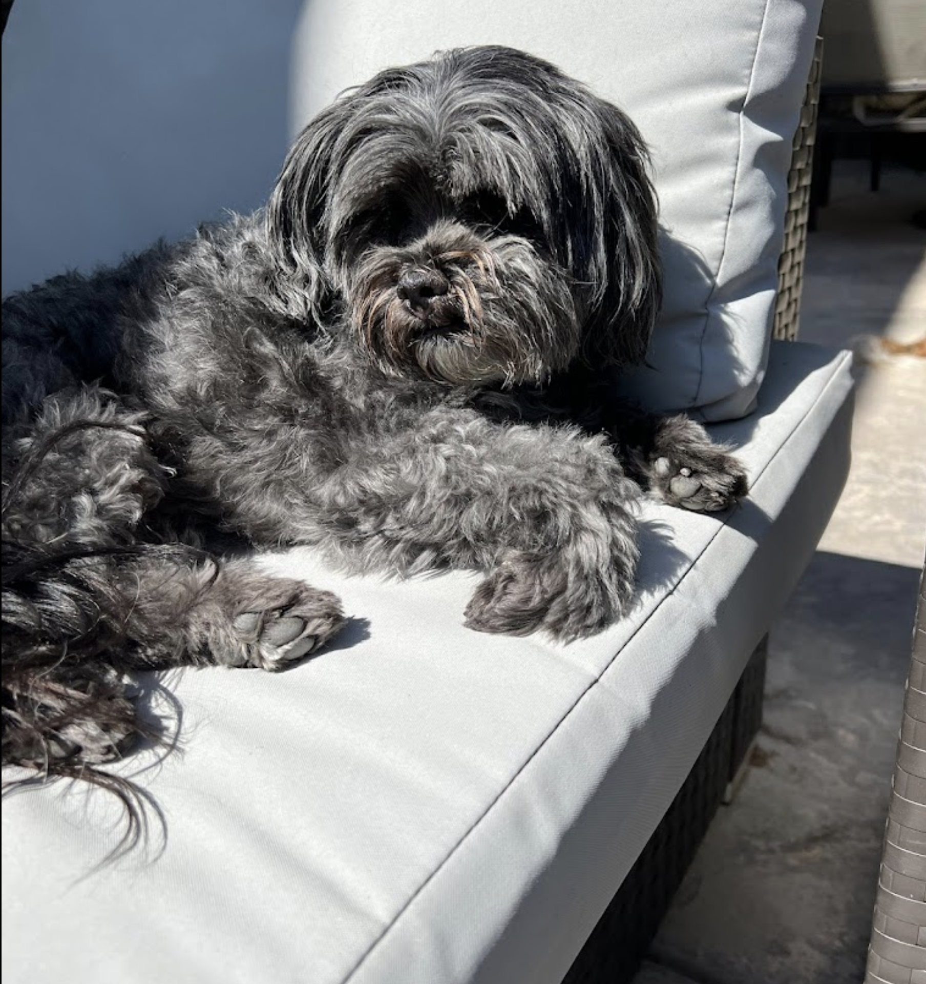 Screen Shot 2024-01-12 at 10.26.41 AM.png