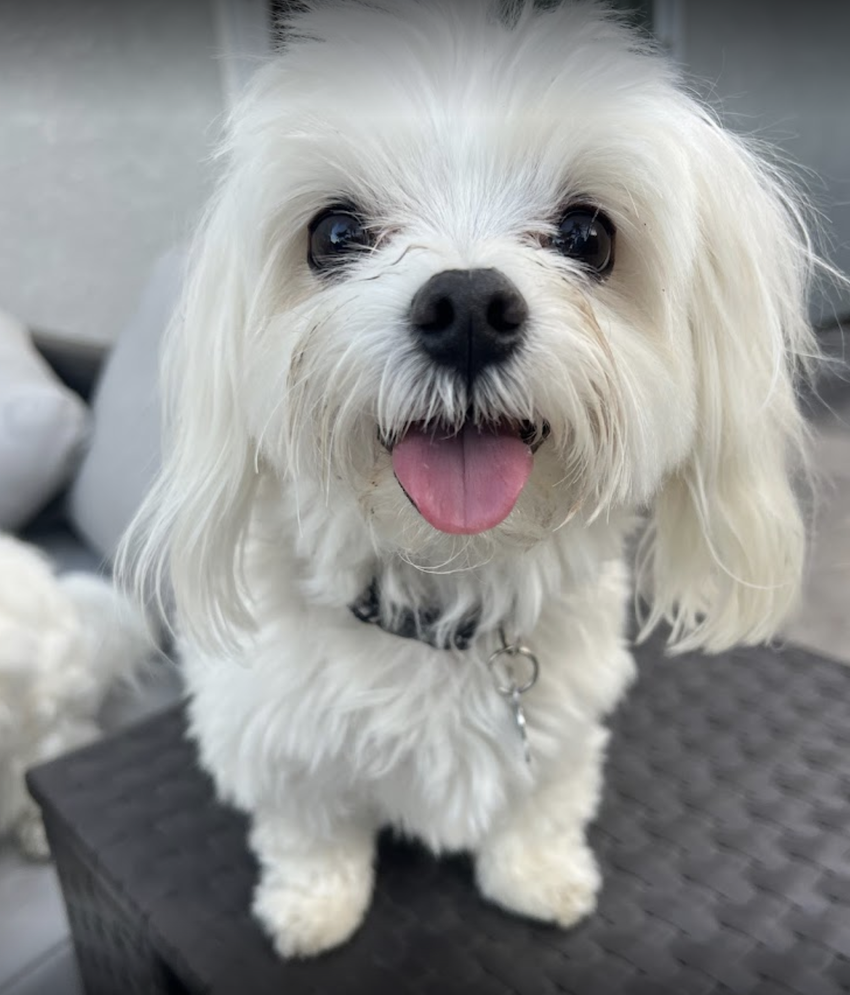 Screen Shot 2024-01-12 at 10.21.02 AM.png