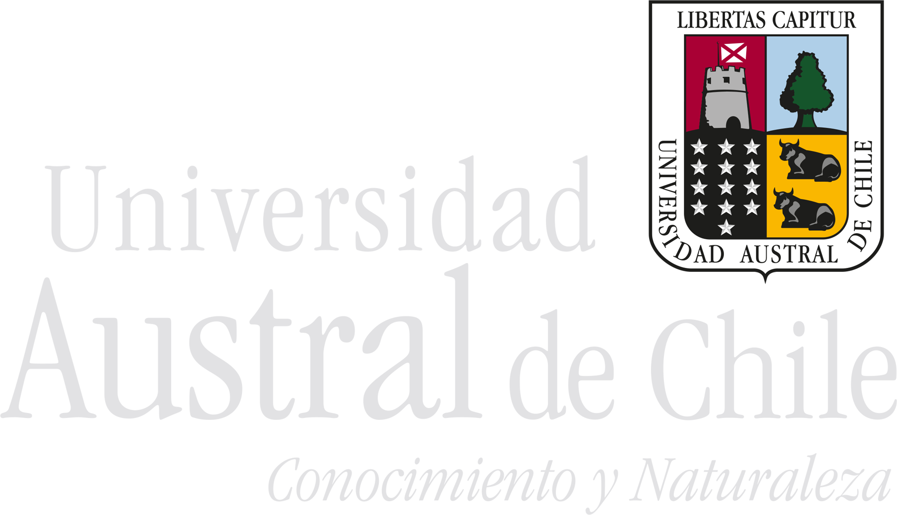 Corredor UACH | Ingenieria Integral en Construcción, image size:1809x1040