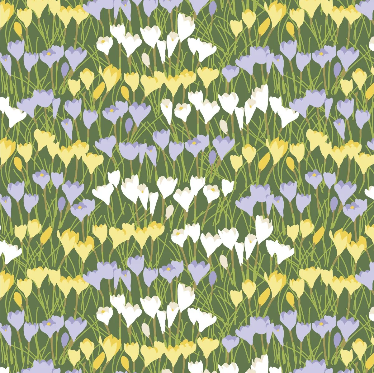 First Color-Green-LQT23-A3.jpg