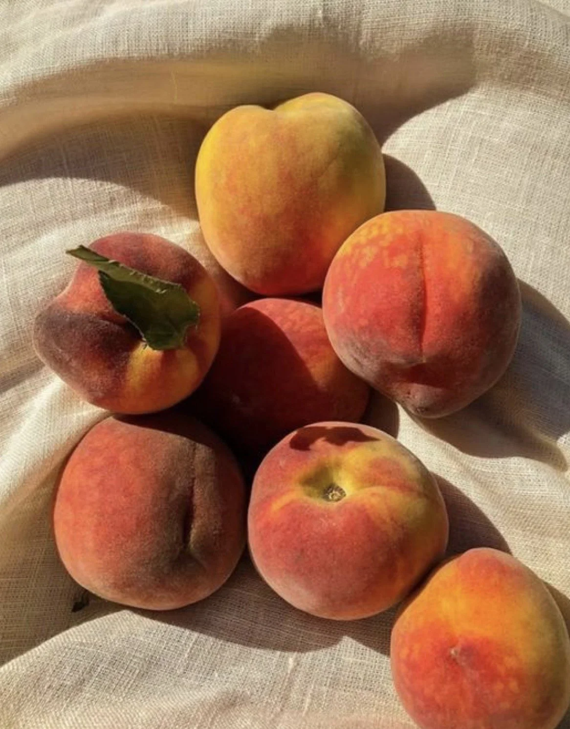 Half-bushel of Texas Peaches PRE-ORDER