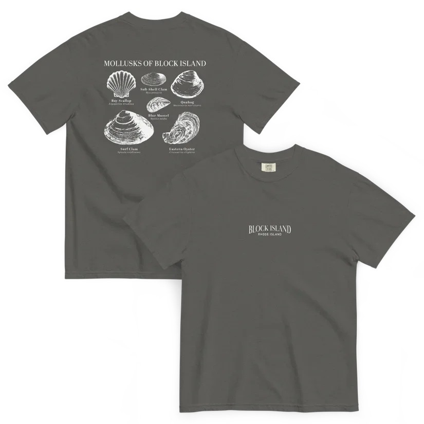 BI Mollusks - mockup.webp