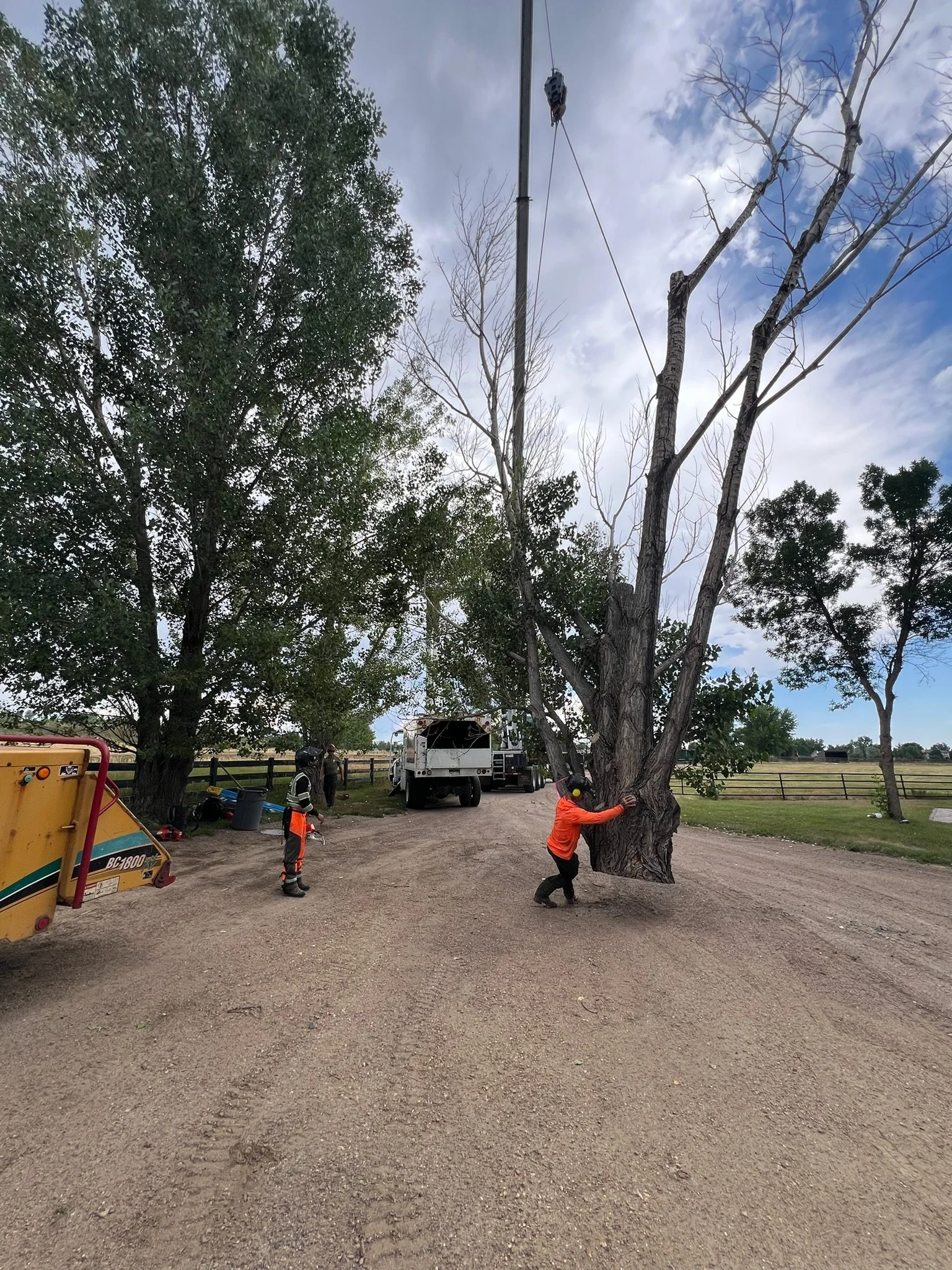lot clearing new construction