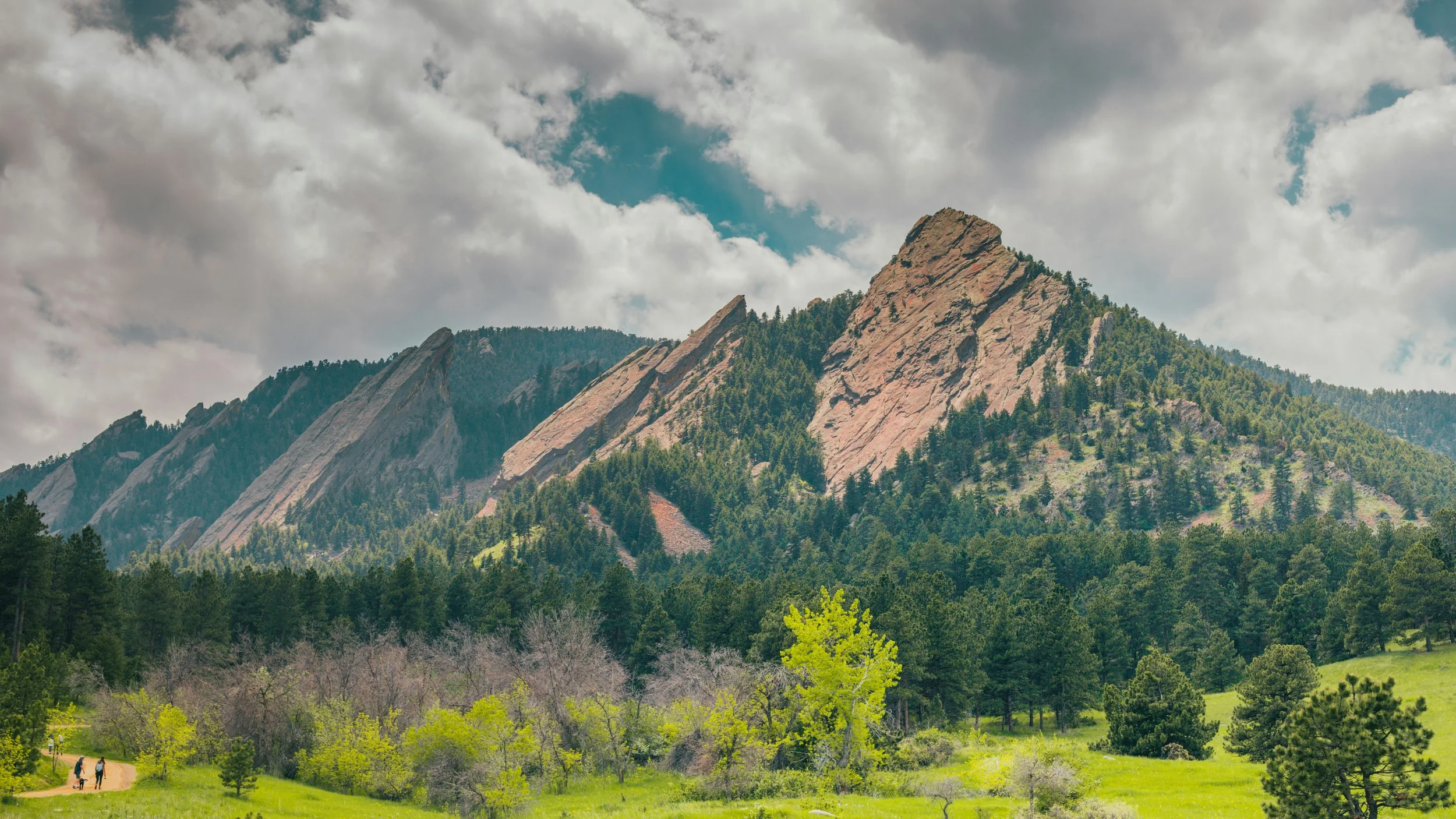 boulder county flatiron mountain trees