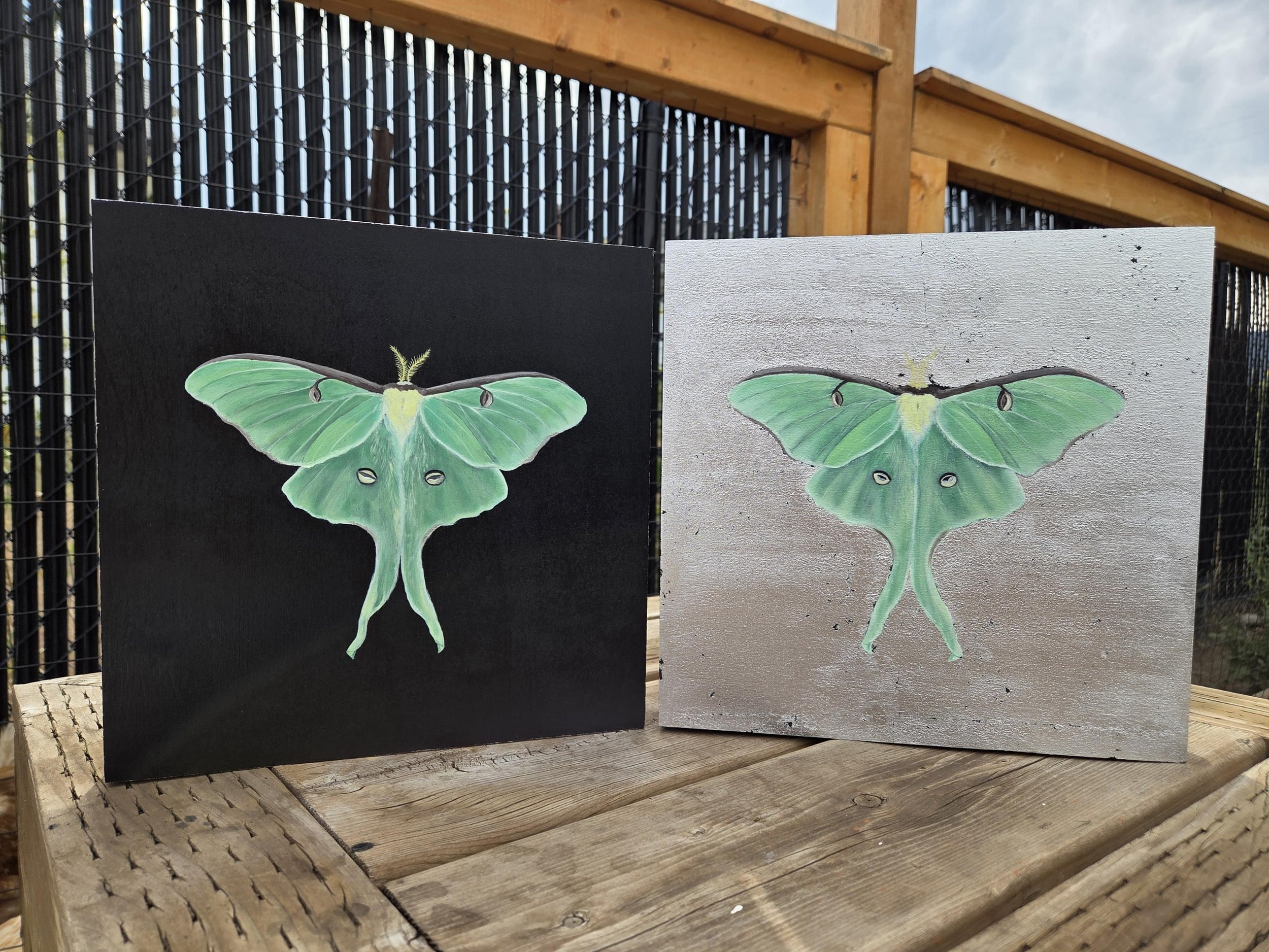 "Luminescence" 10"x10" (2 panels)