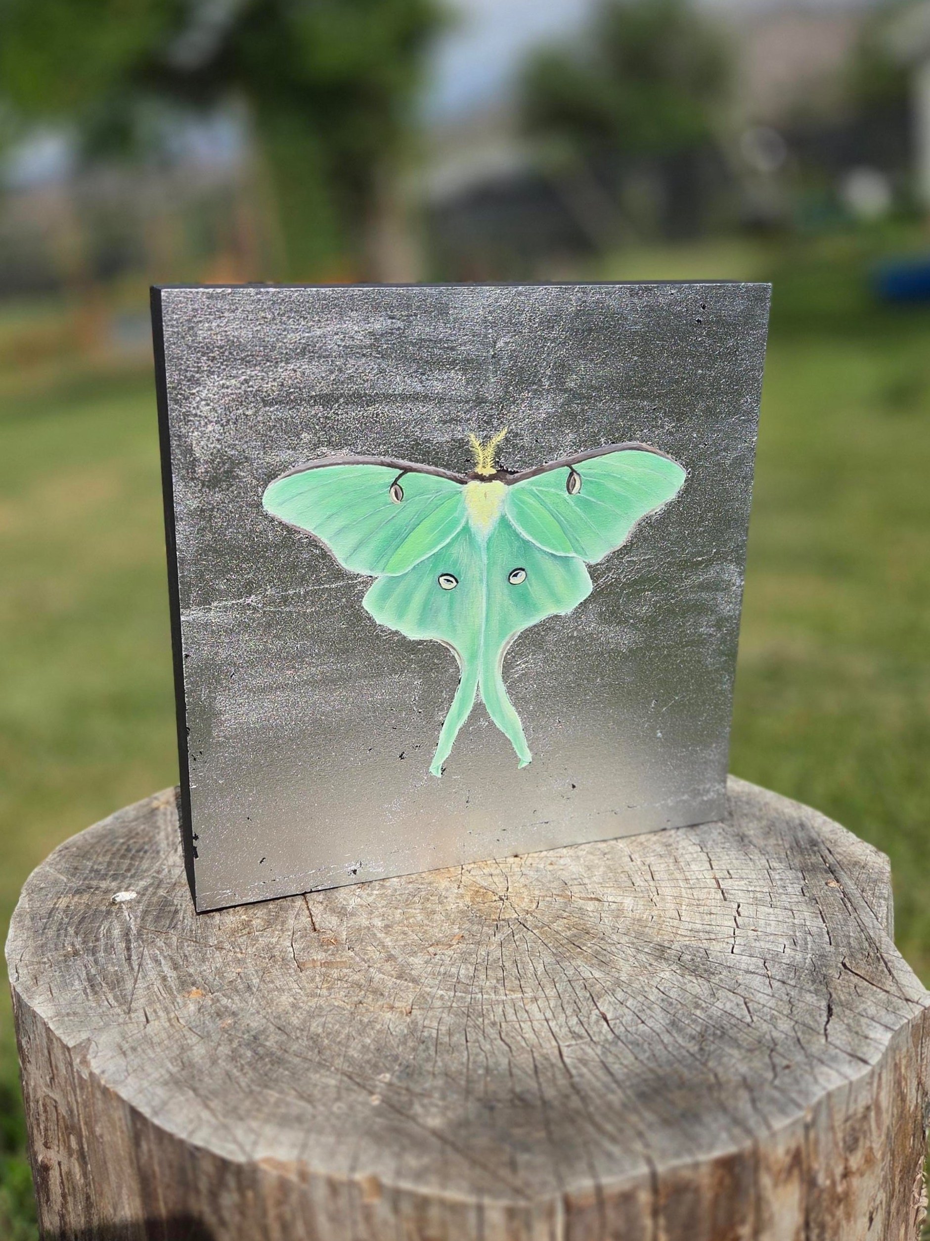 Luna Moth II