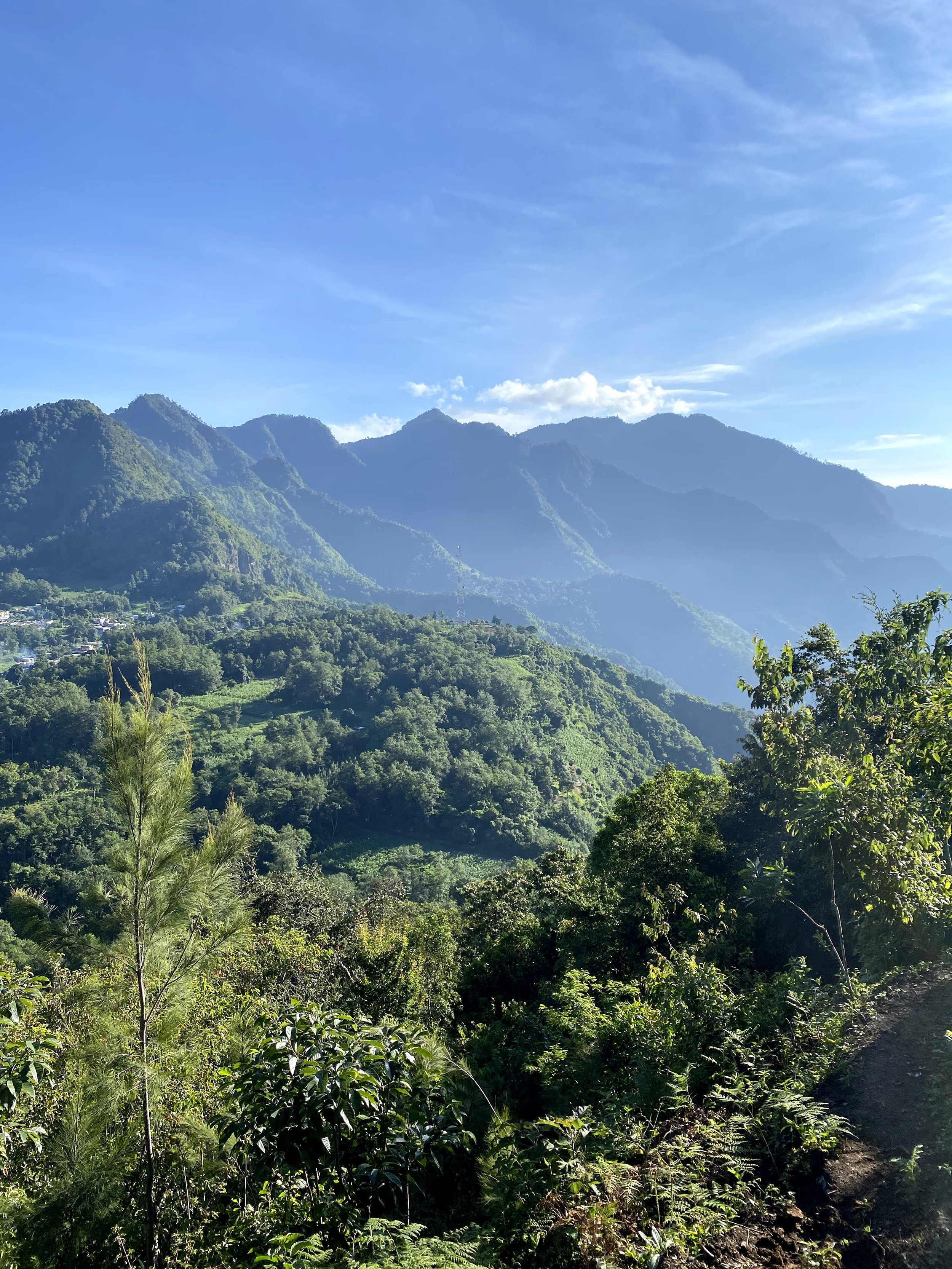 IMG_0104.jpeg
