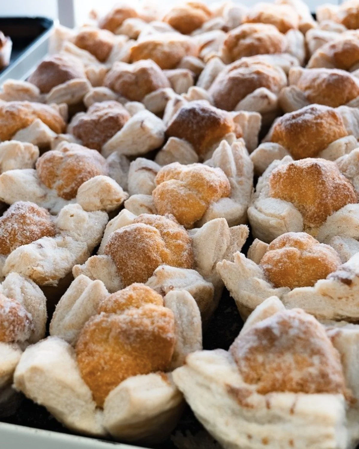 Bakery8.jpg