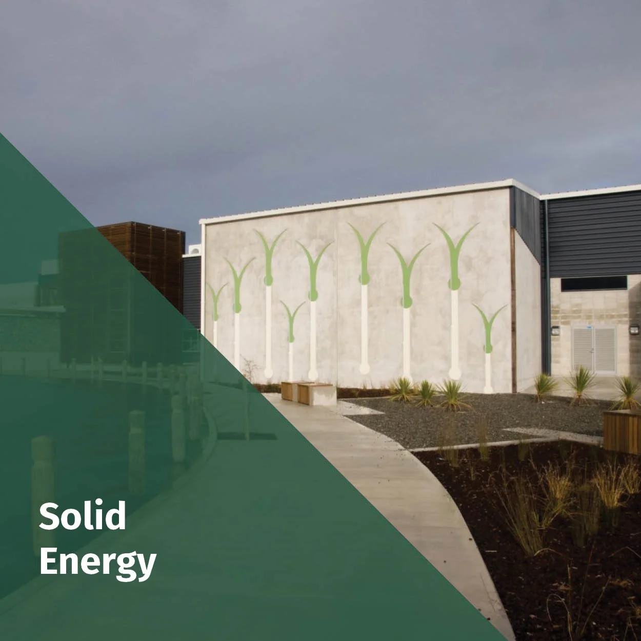 Solid Energy Thumb.jpg