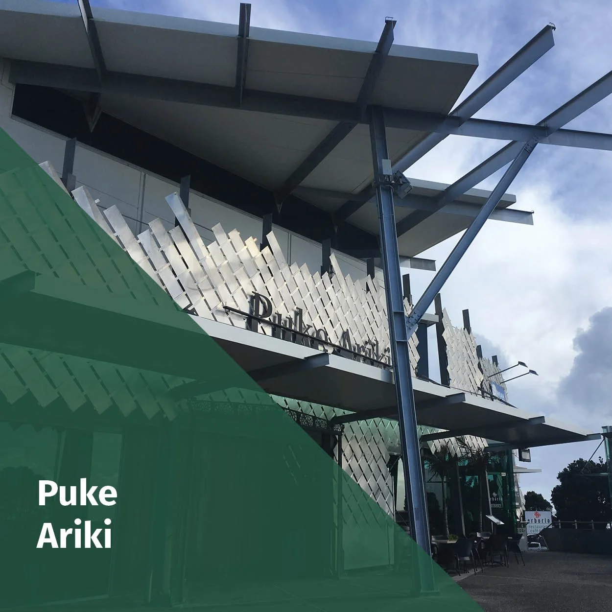 Puke Ariki Thumb.jpg