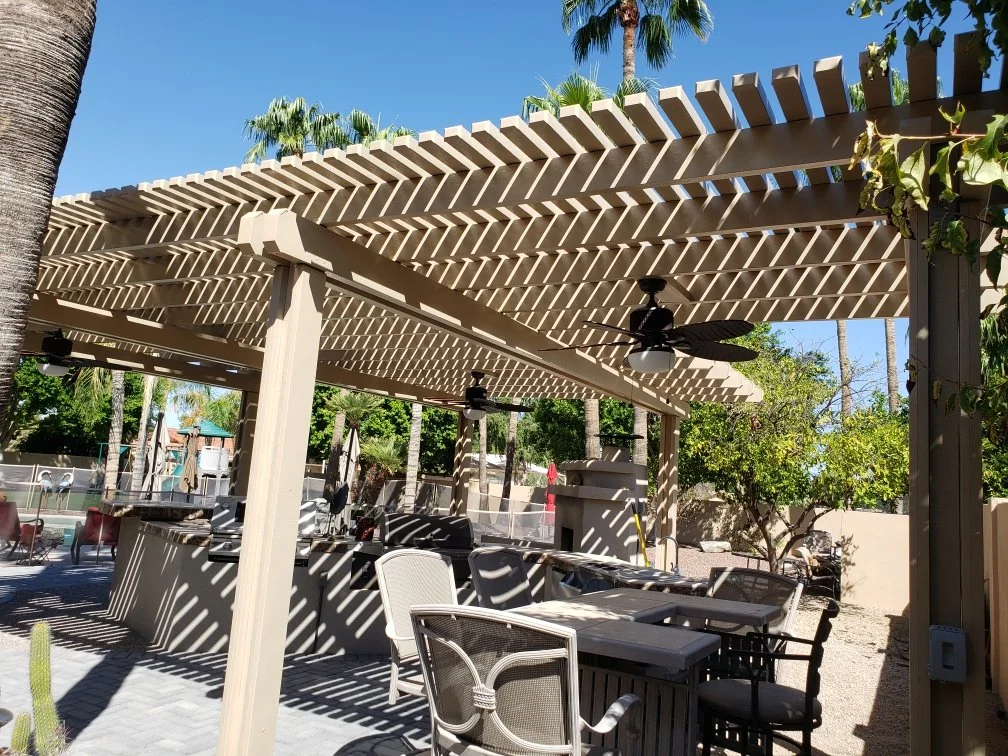 Detached Dura Lattice 2.jpeg