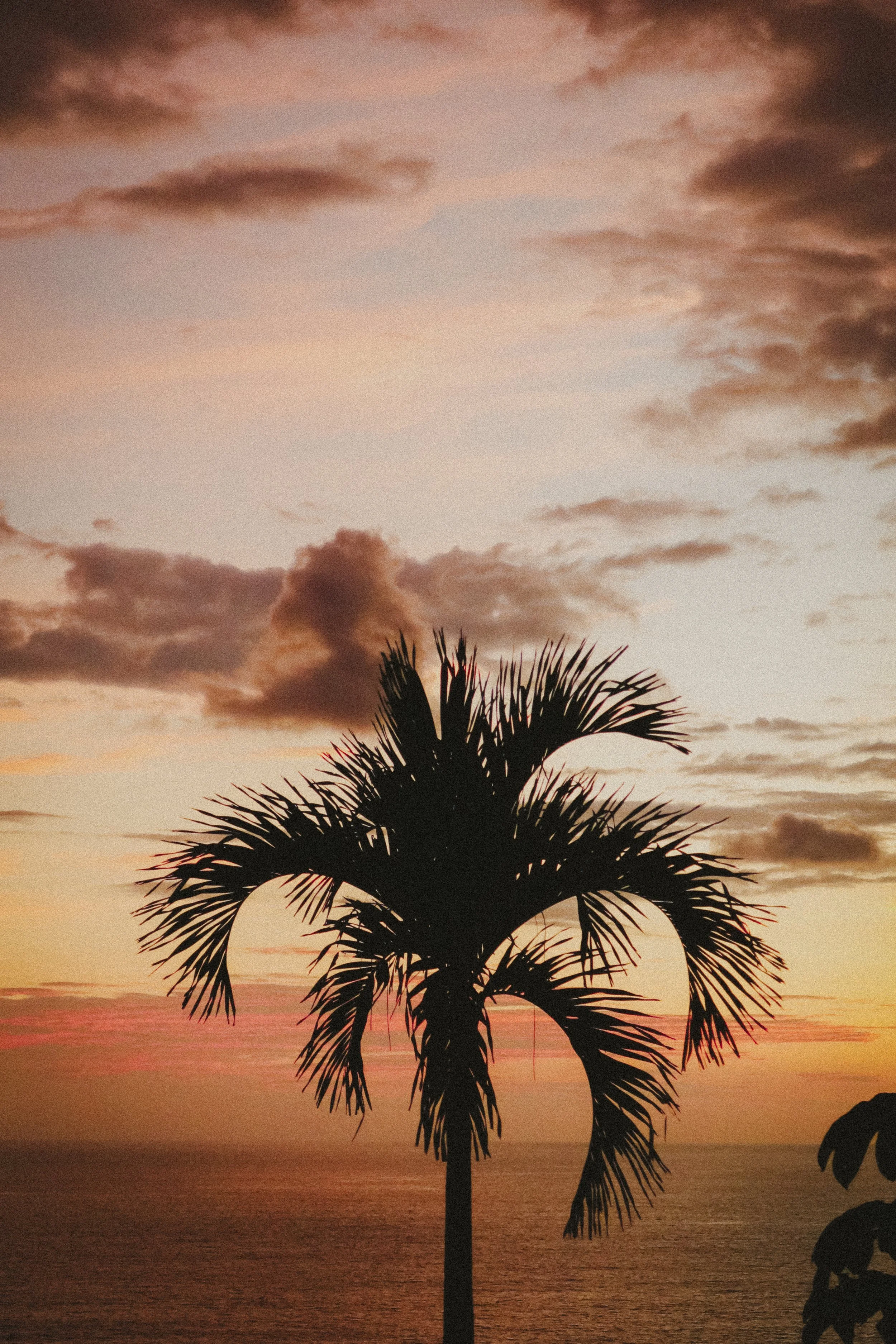 E & B reception-4882.JPG