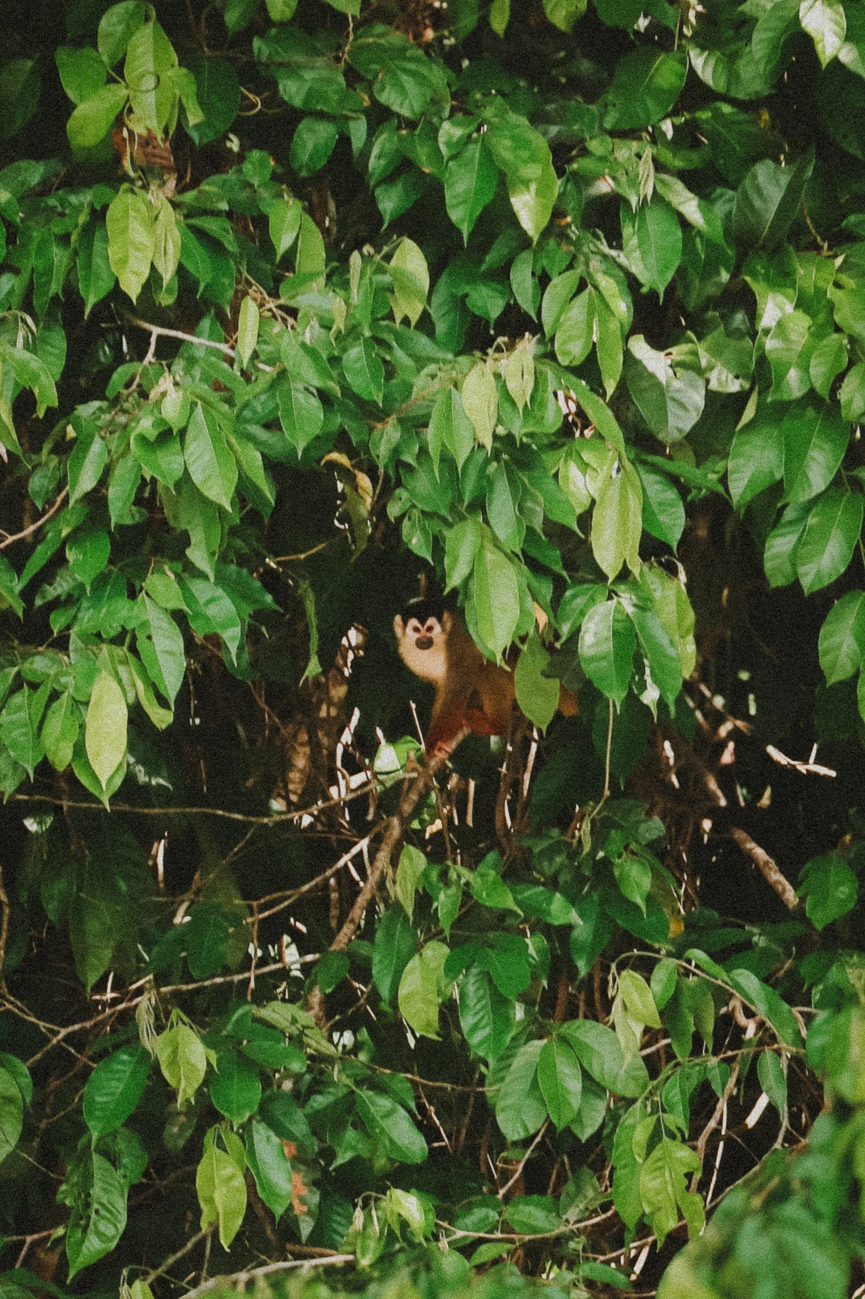 E & B reception-4906.JPG