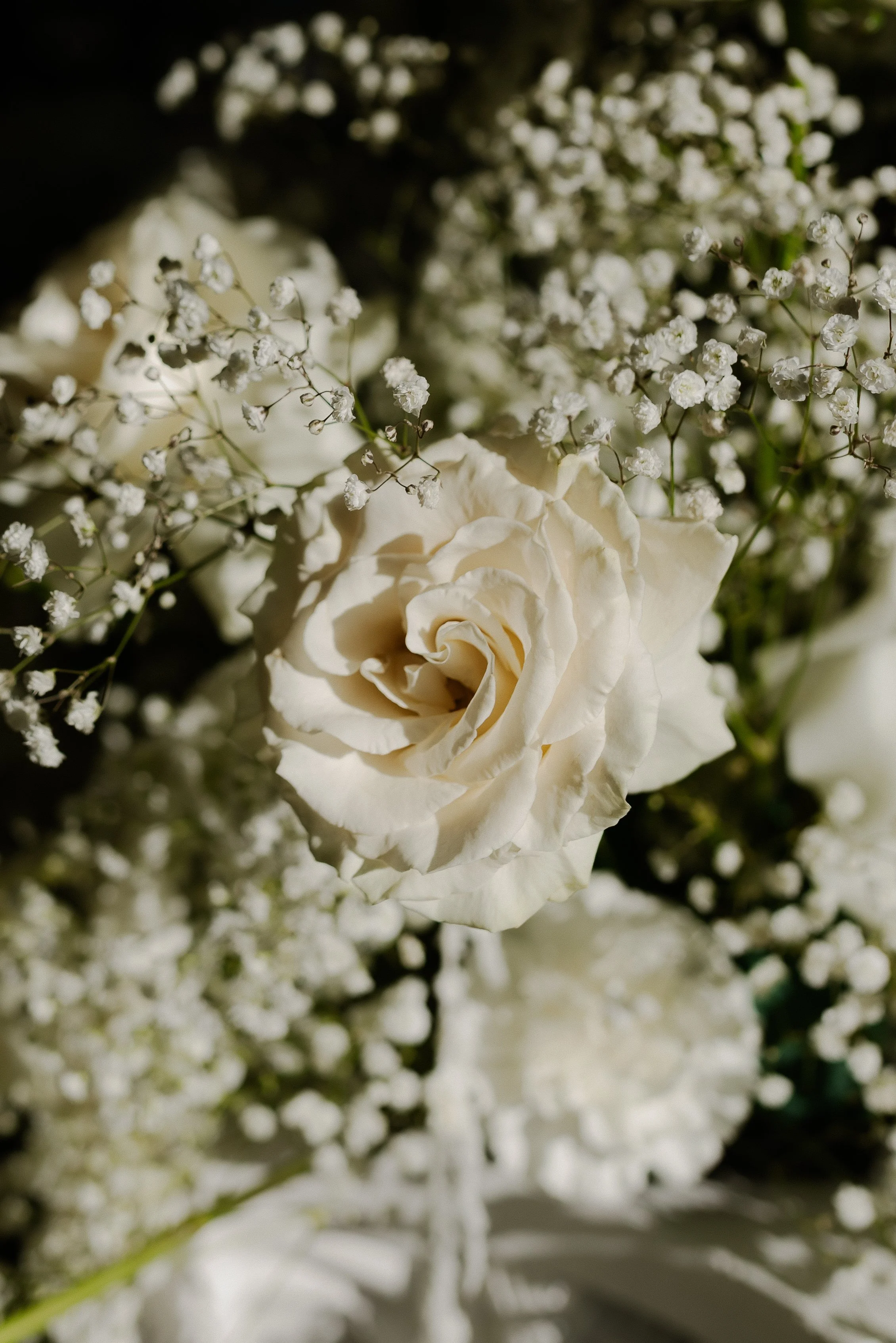 E & B ceremony-9273.jpg