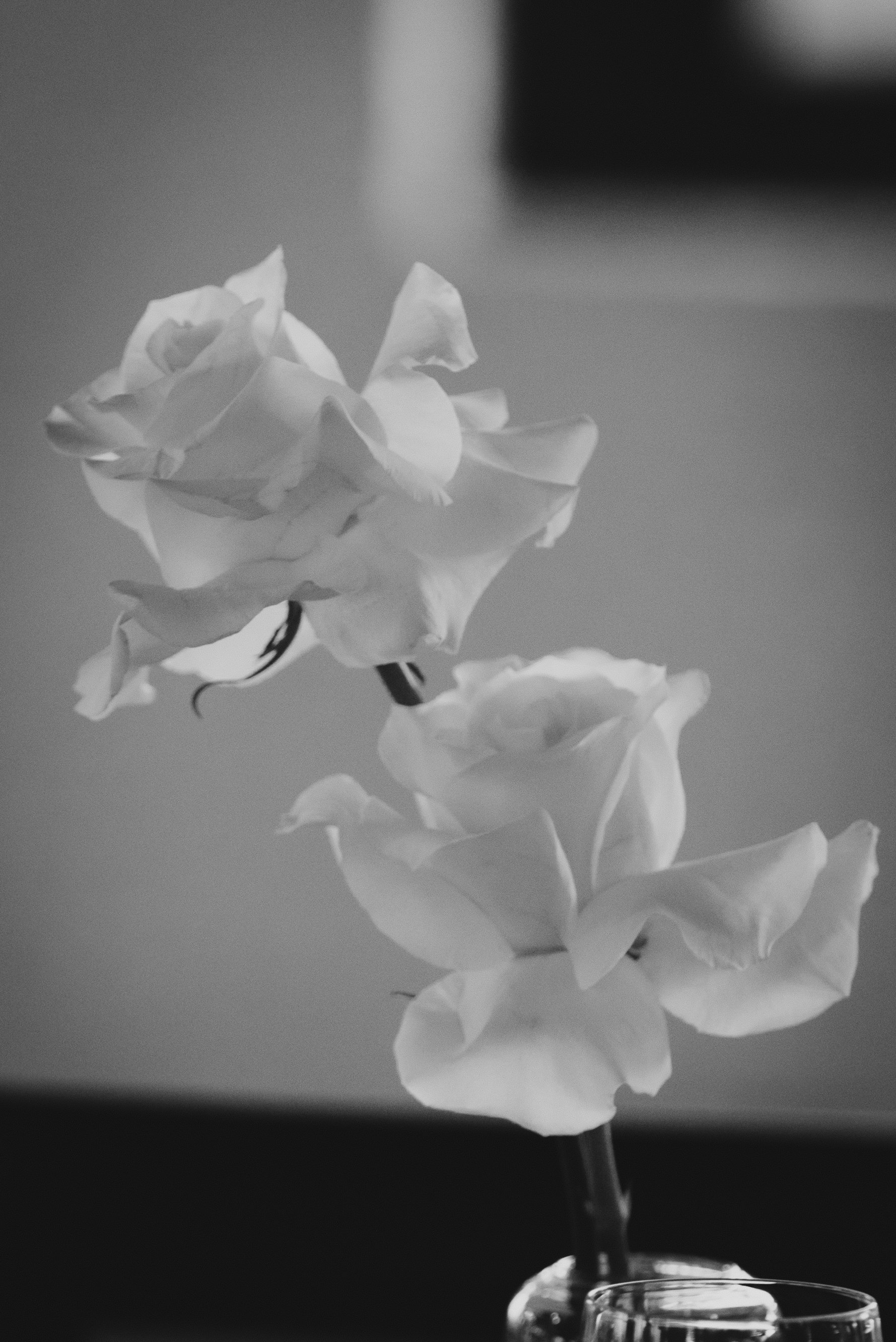 E & B reception-0856.jpg