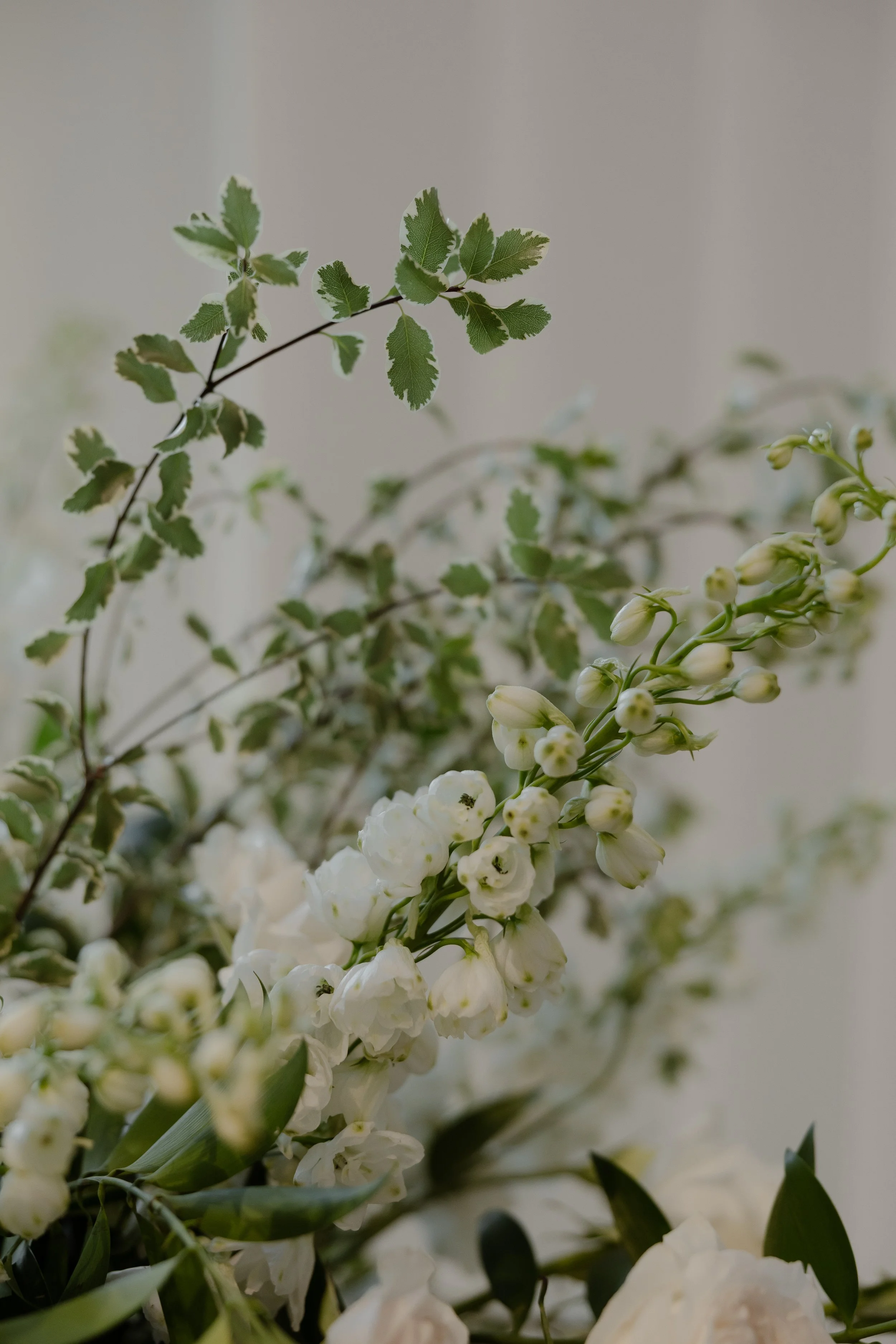 E & R Ceremony-3103.jpg