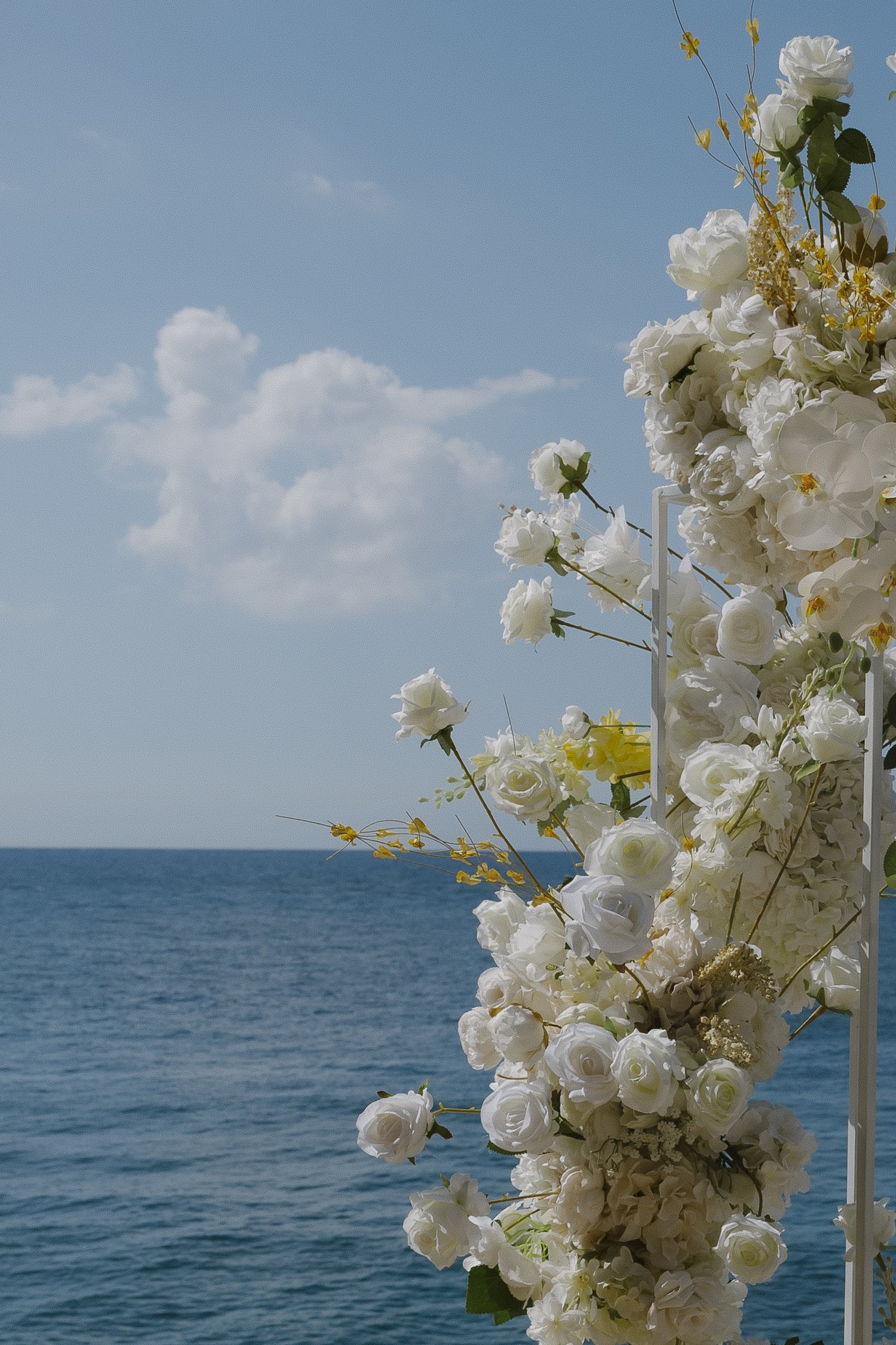 Sydney & Zach Wedding Week-5924.jpg