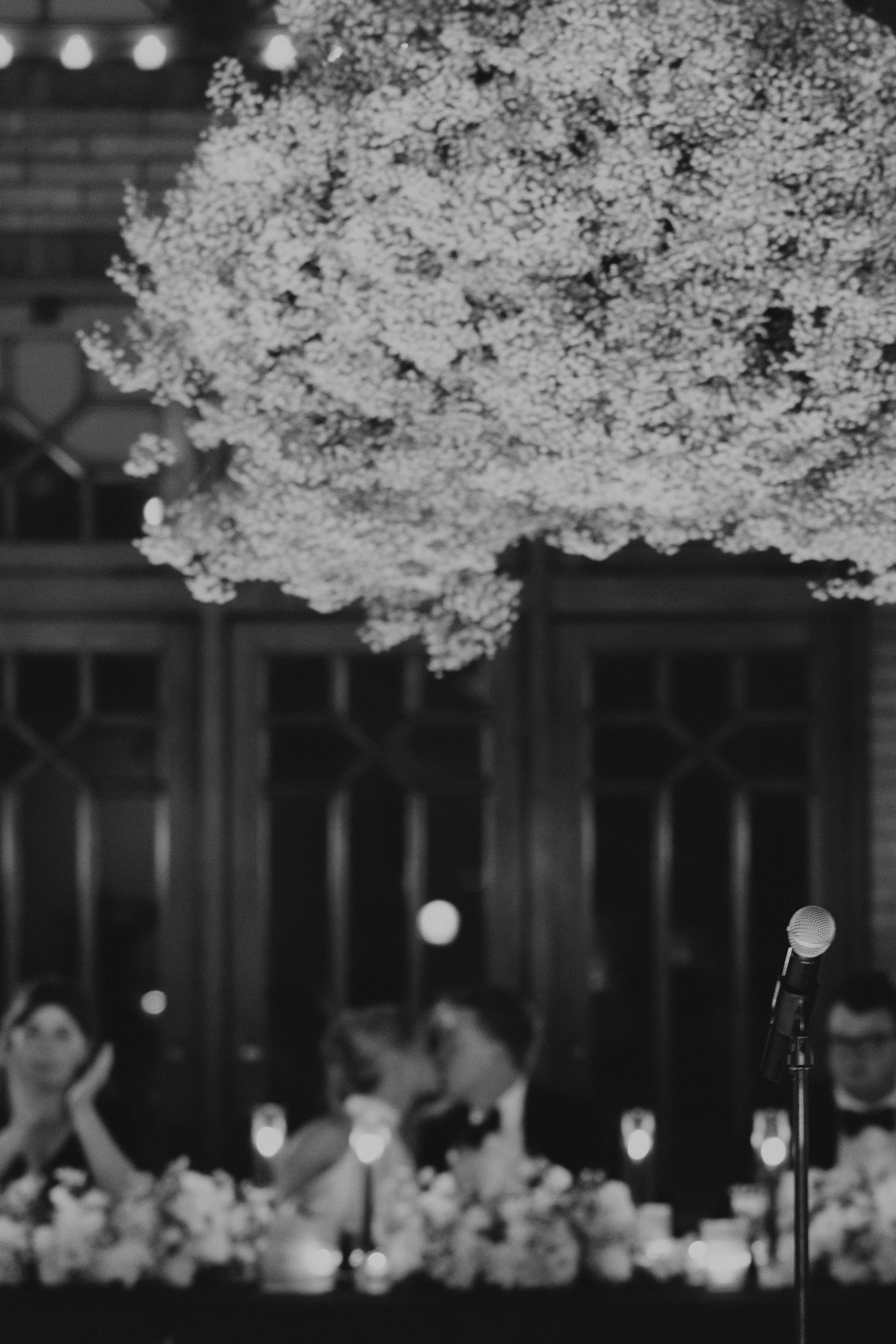 J & T reception-2282-2.jpg