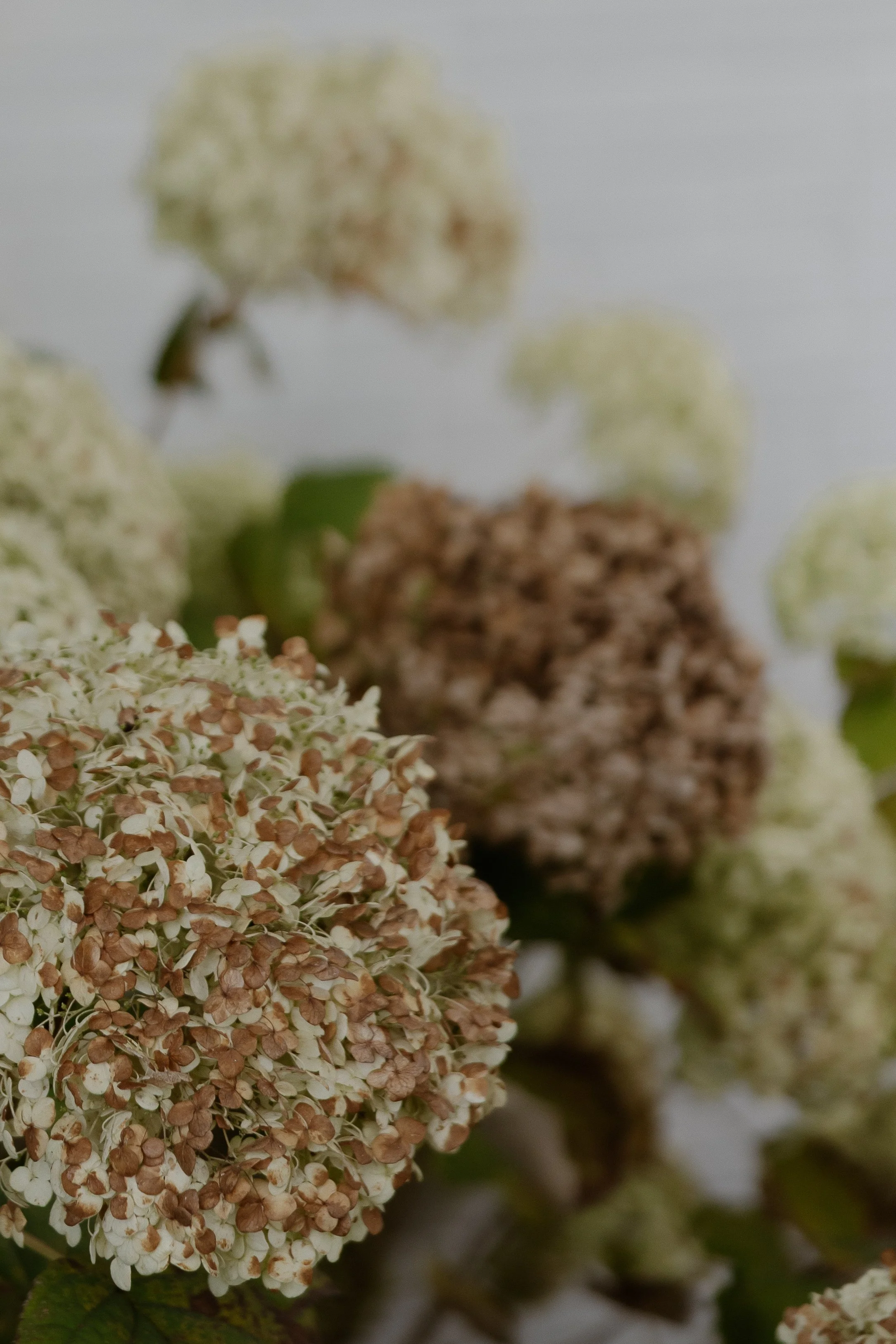 E & R Ceremony-3135.jpg