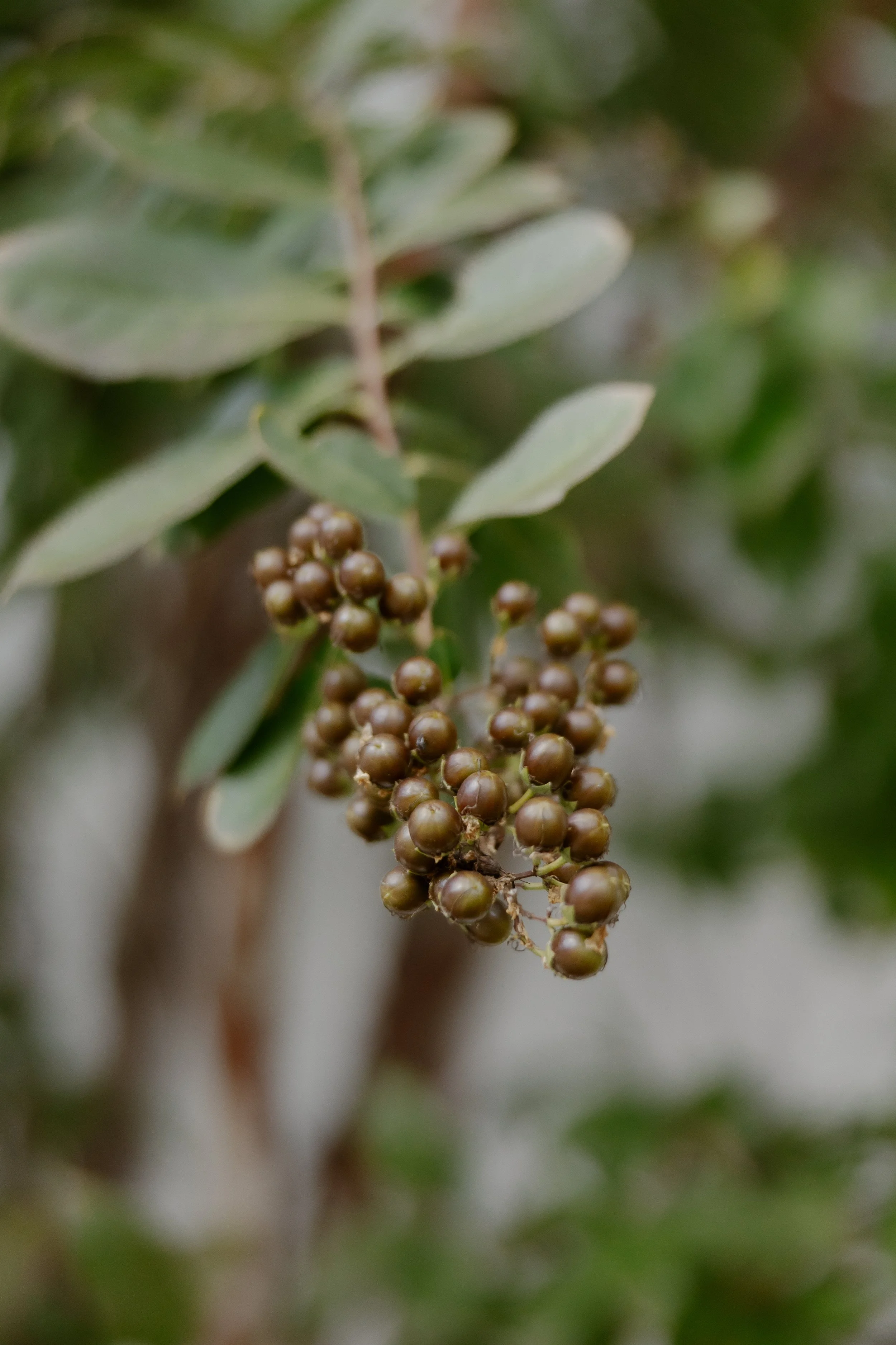 E & R Ceremony-3136.jpg