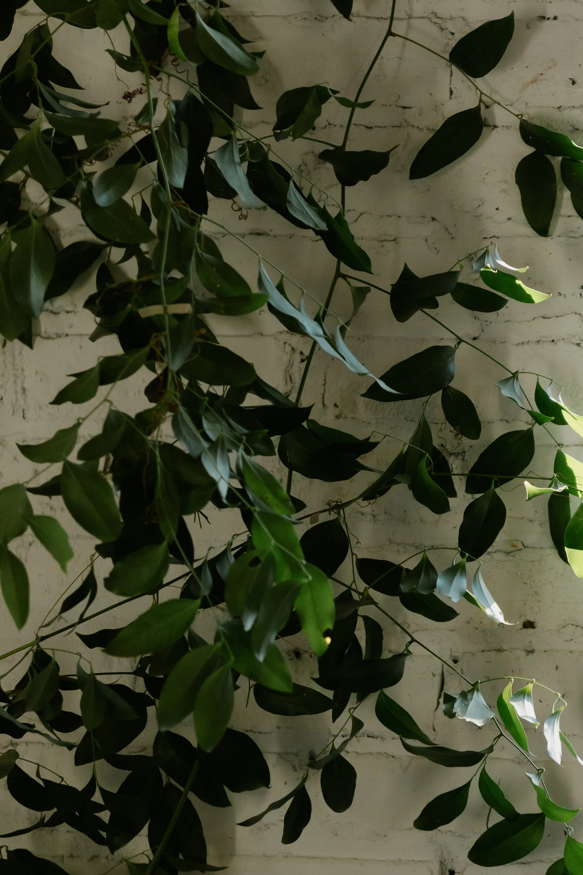 E & B ceremony-0575.jpg