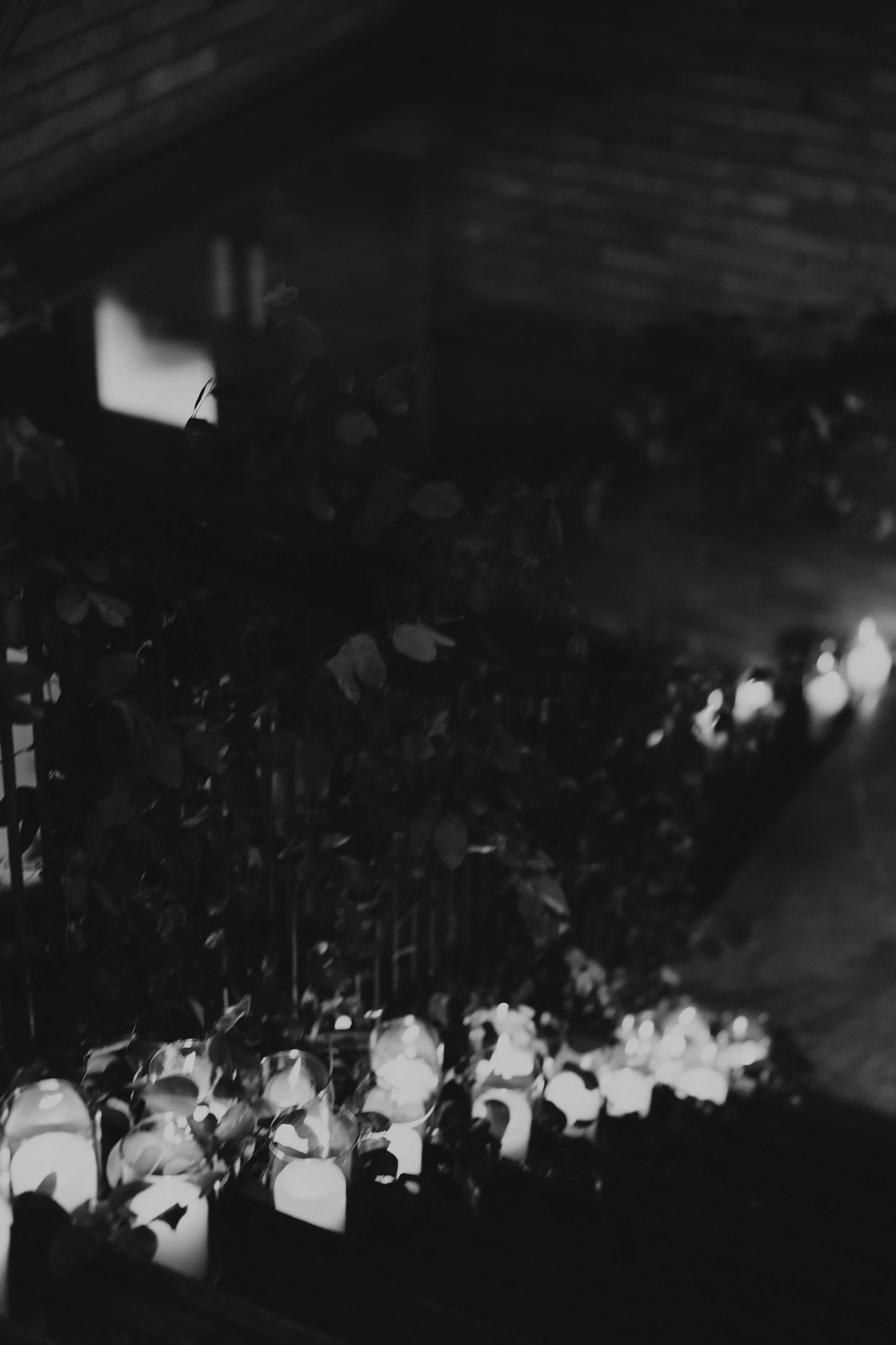 J & T reception-1871-2.jpg