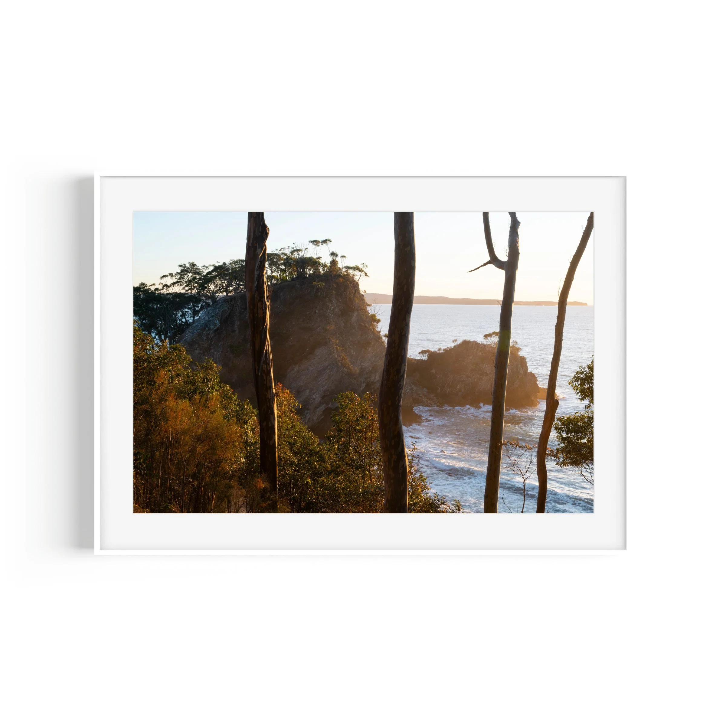 Divers Lilli Pilli Surf Beach NSW beach scene photography art print by Matthew Sherren