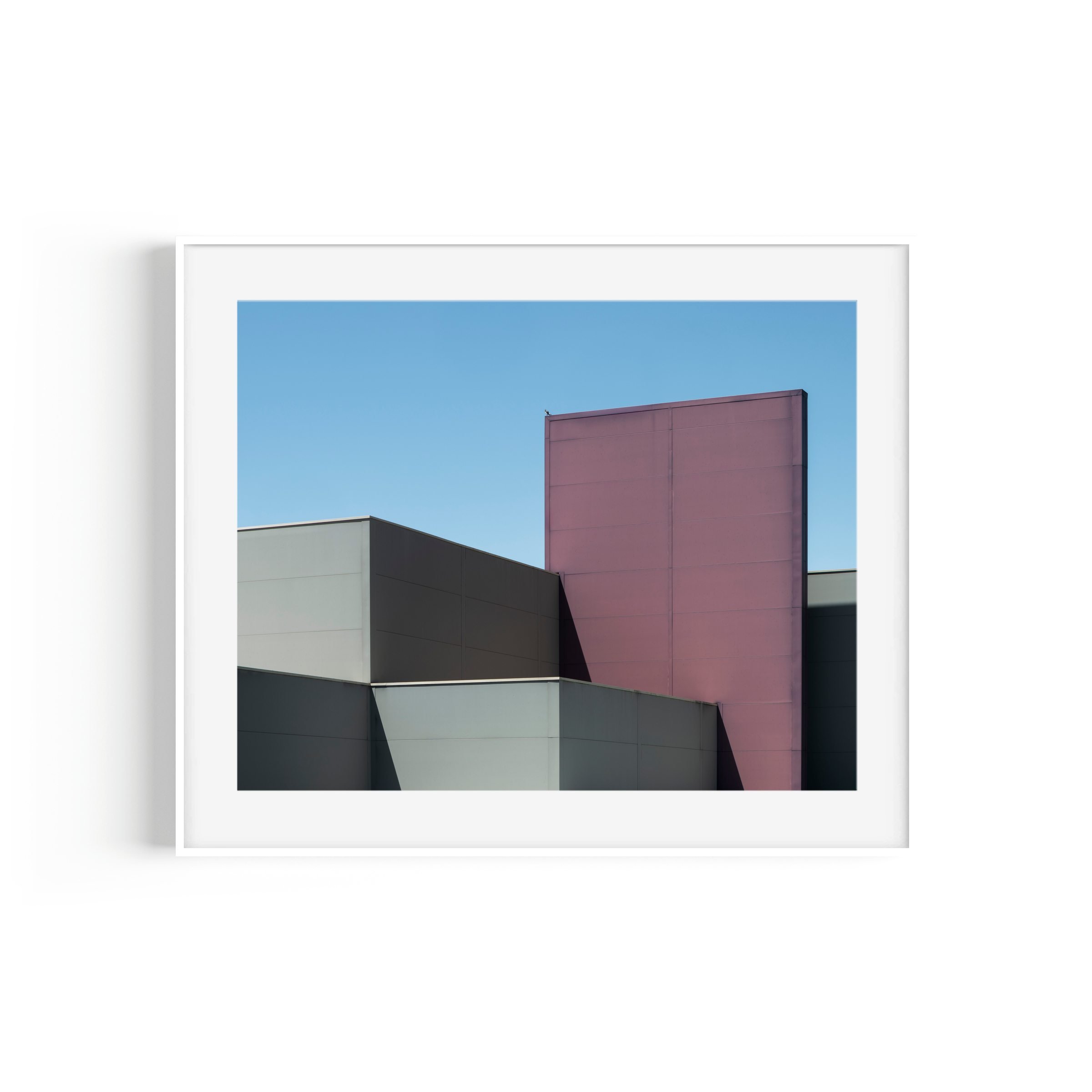 birds aren't real. bird on DFO Fyshwick Canberra minimalist print in white frame by Matthew Sherren