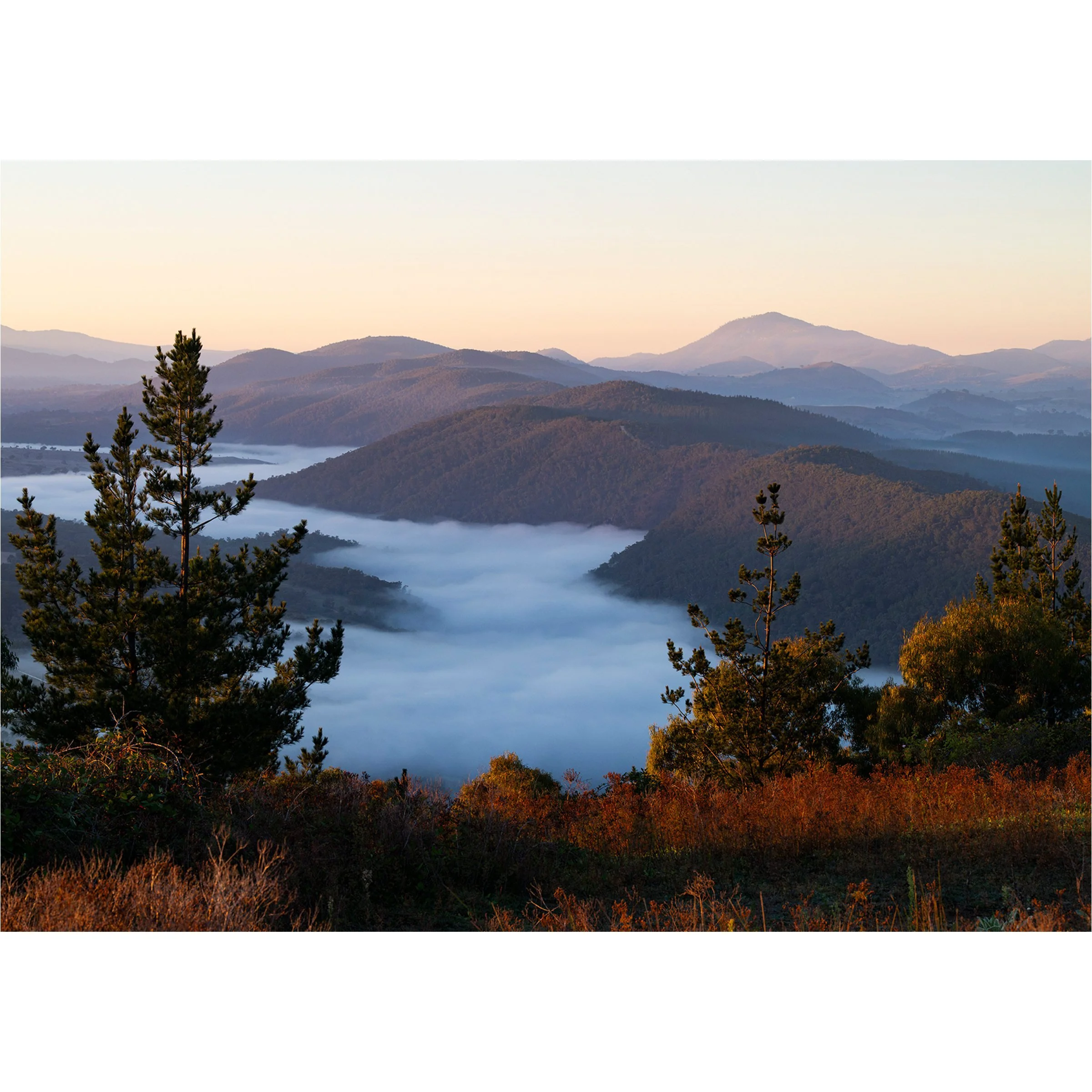 old-macdonald-canberra-travel-print-matthew-sherren_print-square-preview.jpg