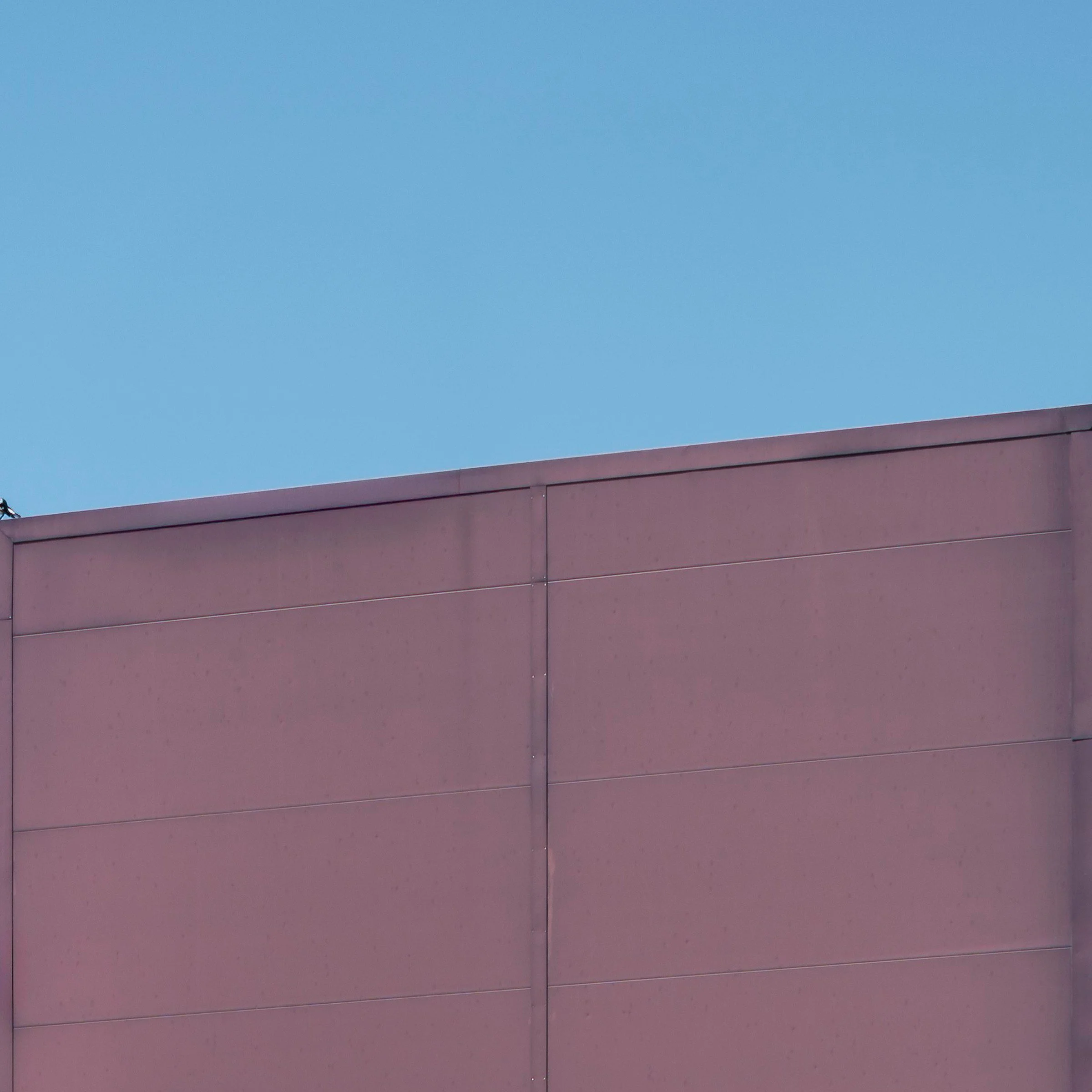 birds aren't real. print detail close-up top right corner DFO Fyshwick Canberra by Matthew Sherren