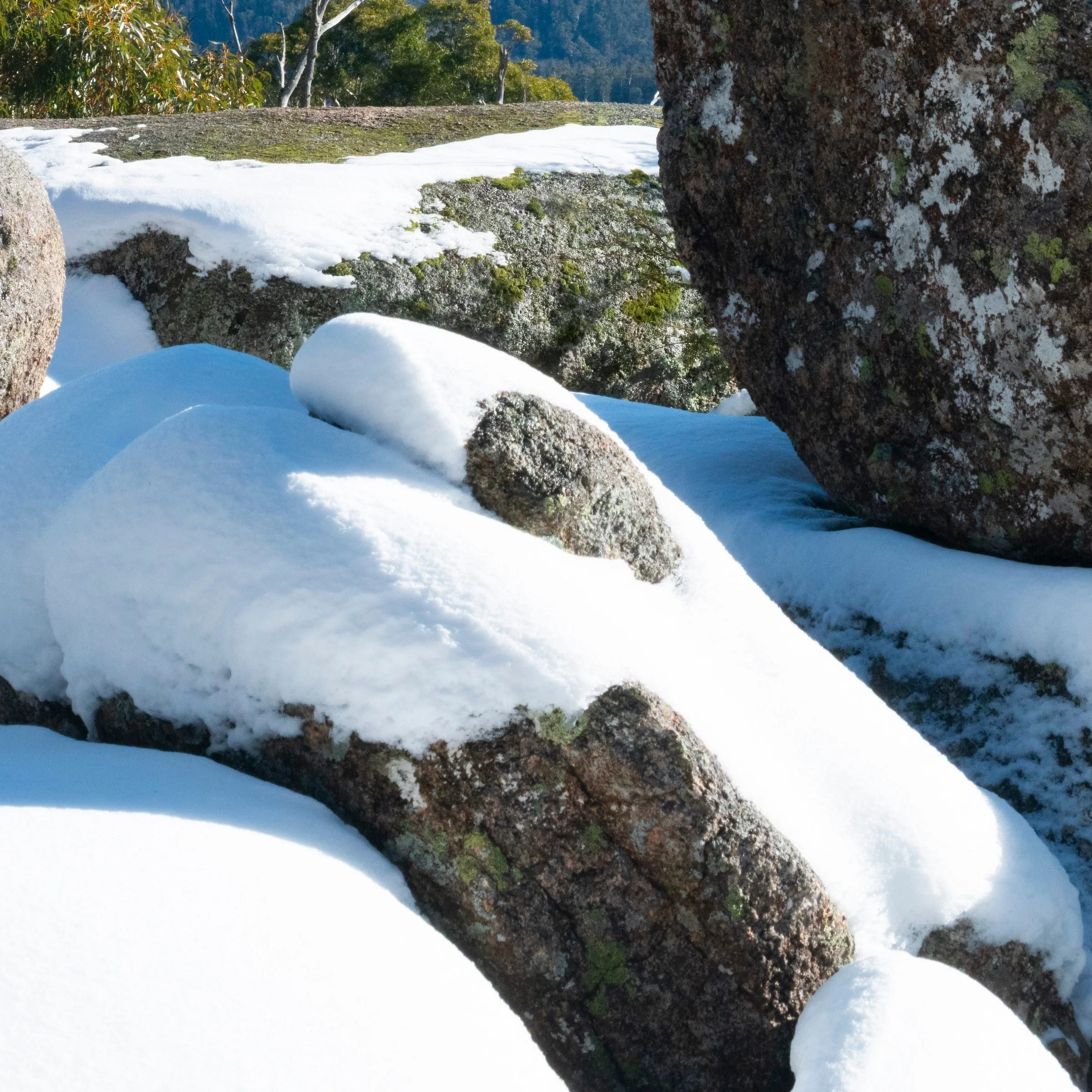 Square Rock print detail close-up bottom right corner Namadgi National Park Canberra by Matthew Sherren
