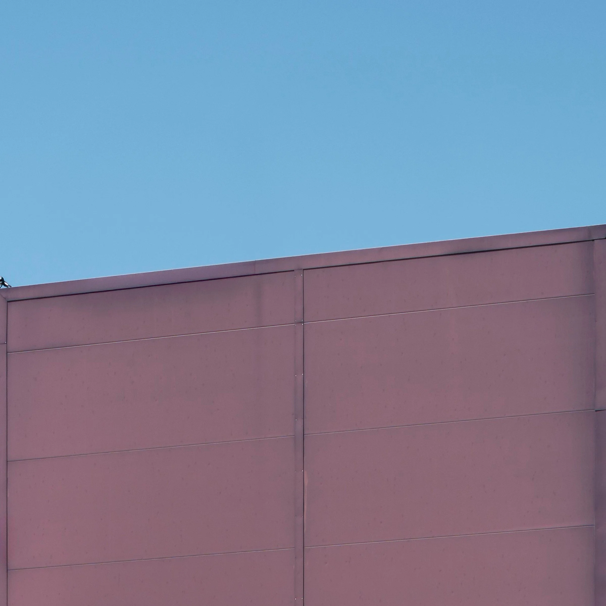 birds aren't real. print detail close-up top right corner DFO Fyshwick Canberra by Matthew Sherren