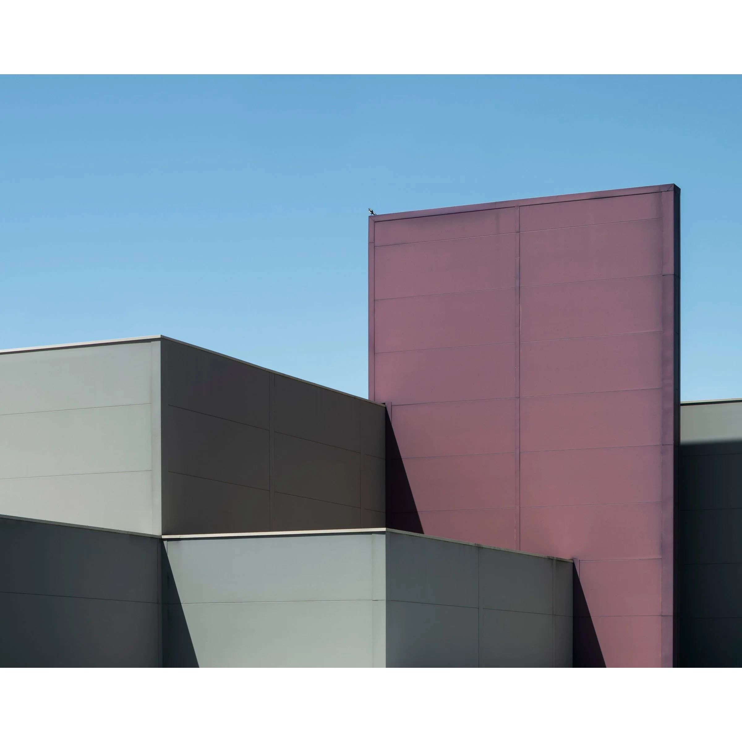 Birds Aren't Real framed art print close-up DFO Fyshwick Canberra architecture photography Australia