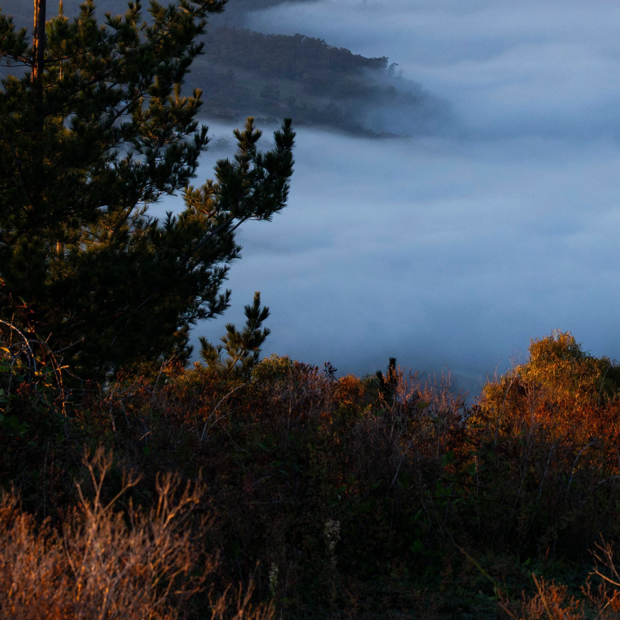 Old Macdonald — Canberra travel photography print, zoomed bottom left corner detail, by Matthew Sherren