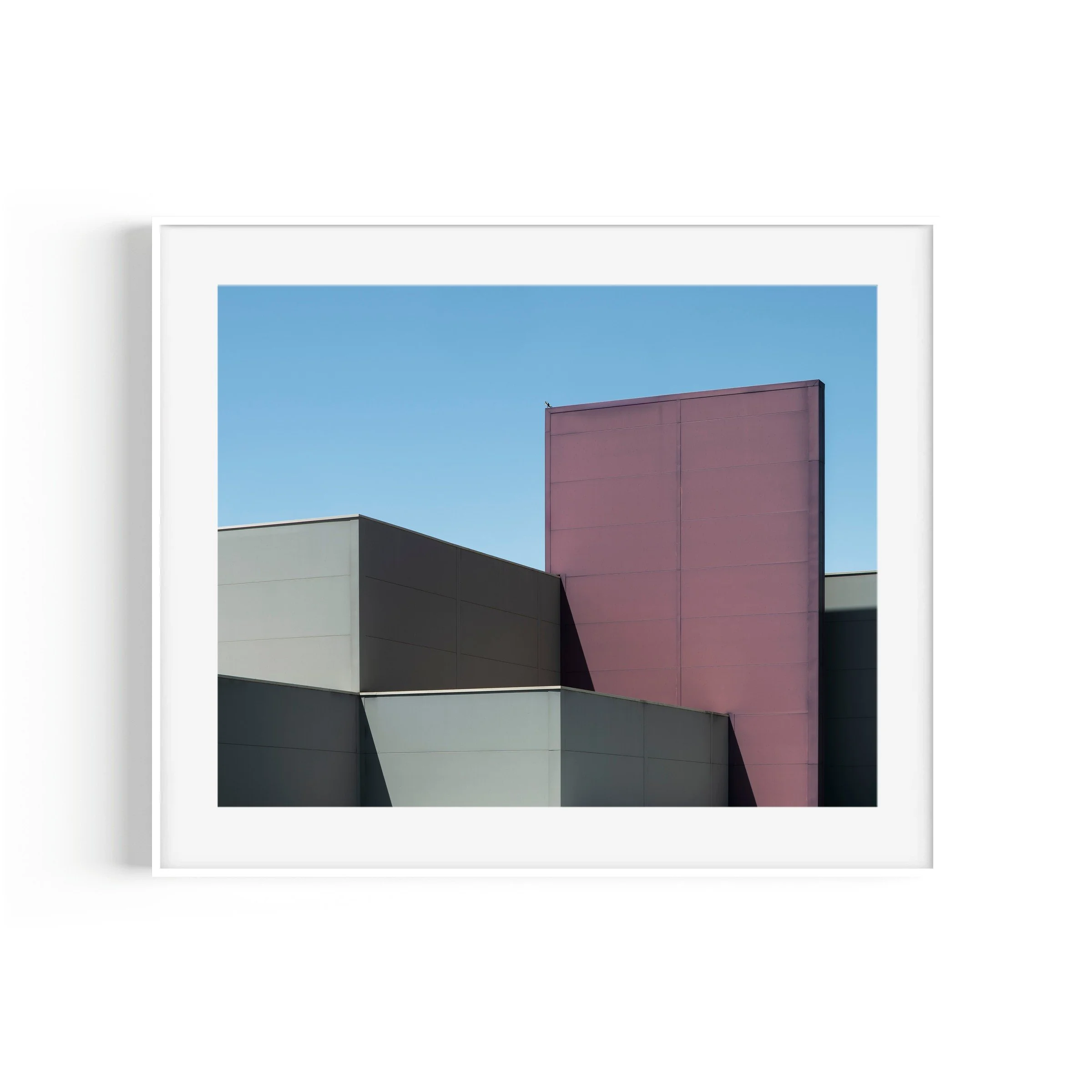 birds aren't real. bird on DFO Fyshwick Canberra minimalist print in white frame by Matthew Sherren