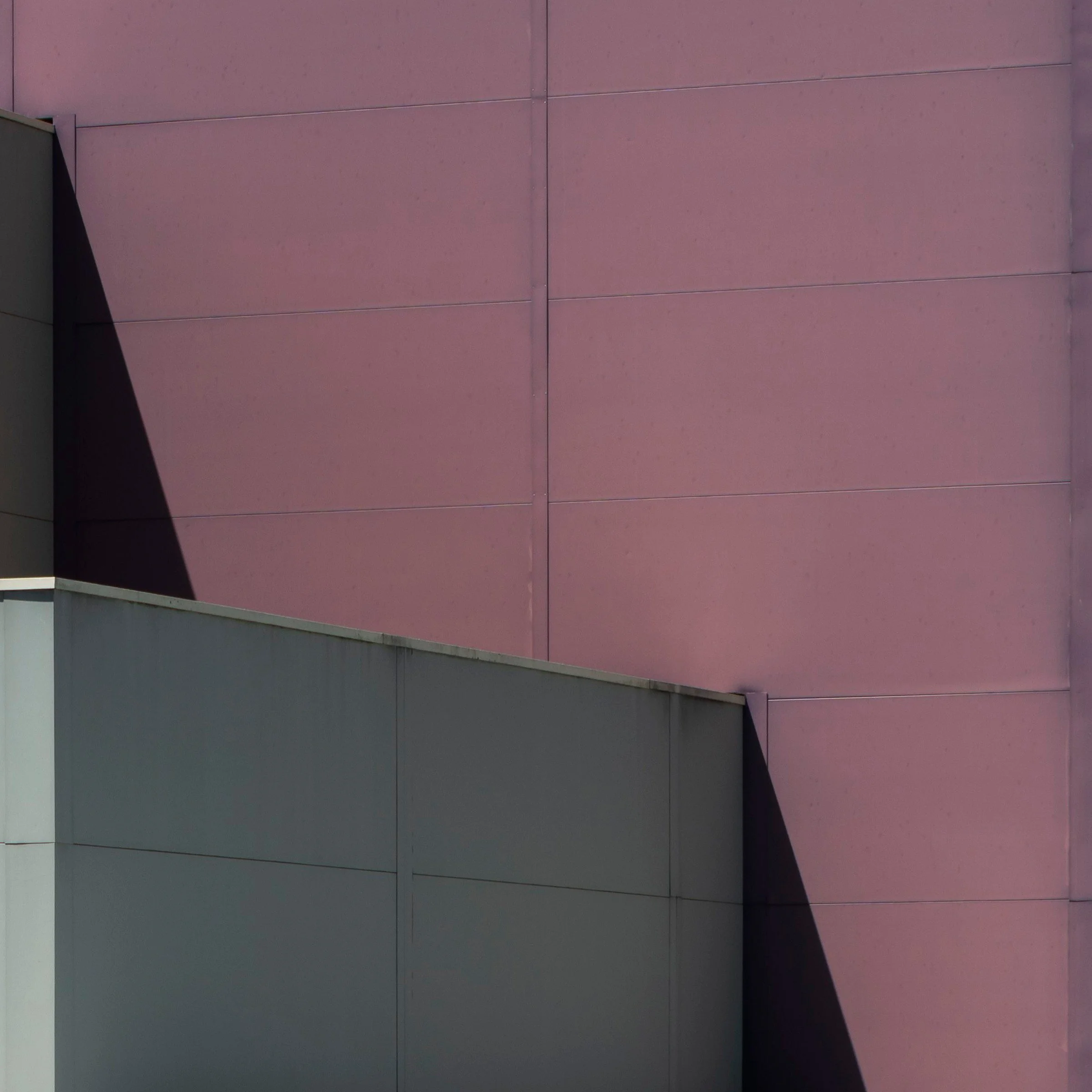 birds aren't real. print detail close-up bottom right corner DFO Fyshwick Canberra by Matthew Sherren