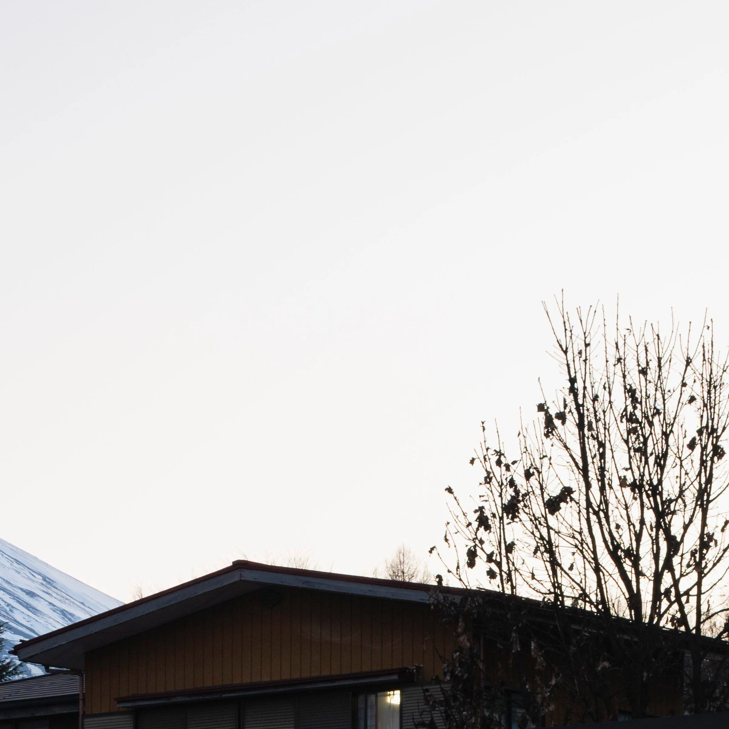 Bare winter branches above the store roofline, Fujiyoshida, Japan