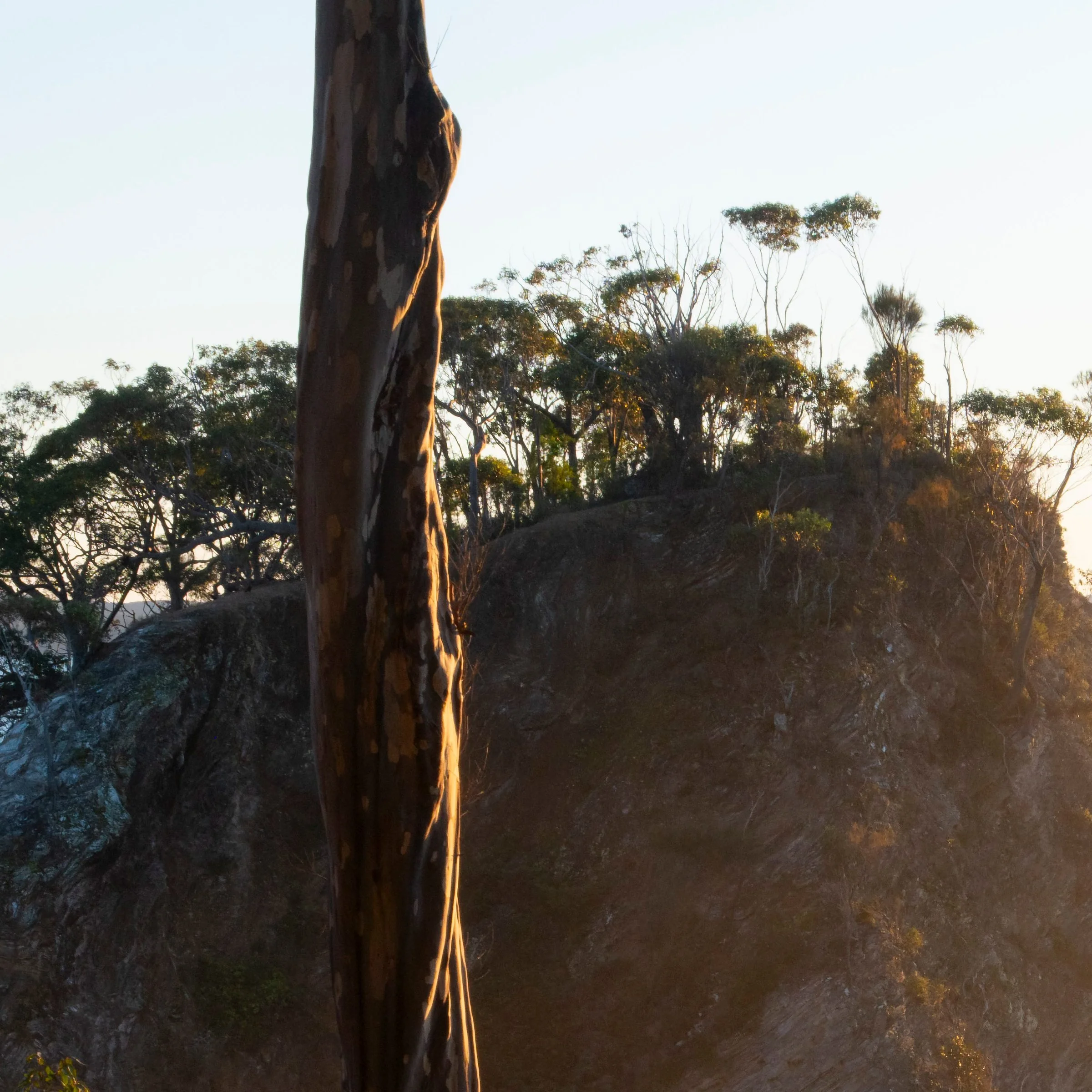 Divers print detail close-up top left corner New South Wales travel photography by Matthew Sherren