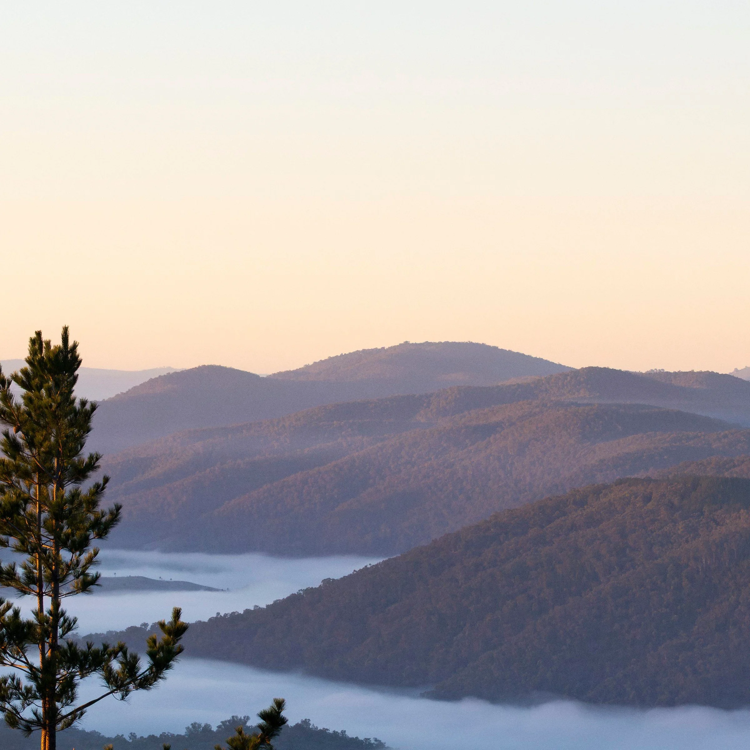 Old Macdonald — Canberra travel photography print, zoomed top left corner detail, by Matthew Sherren