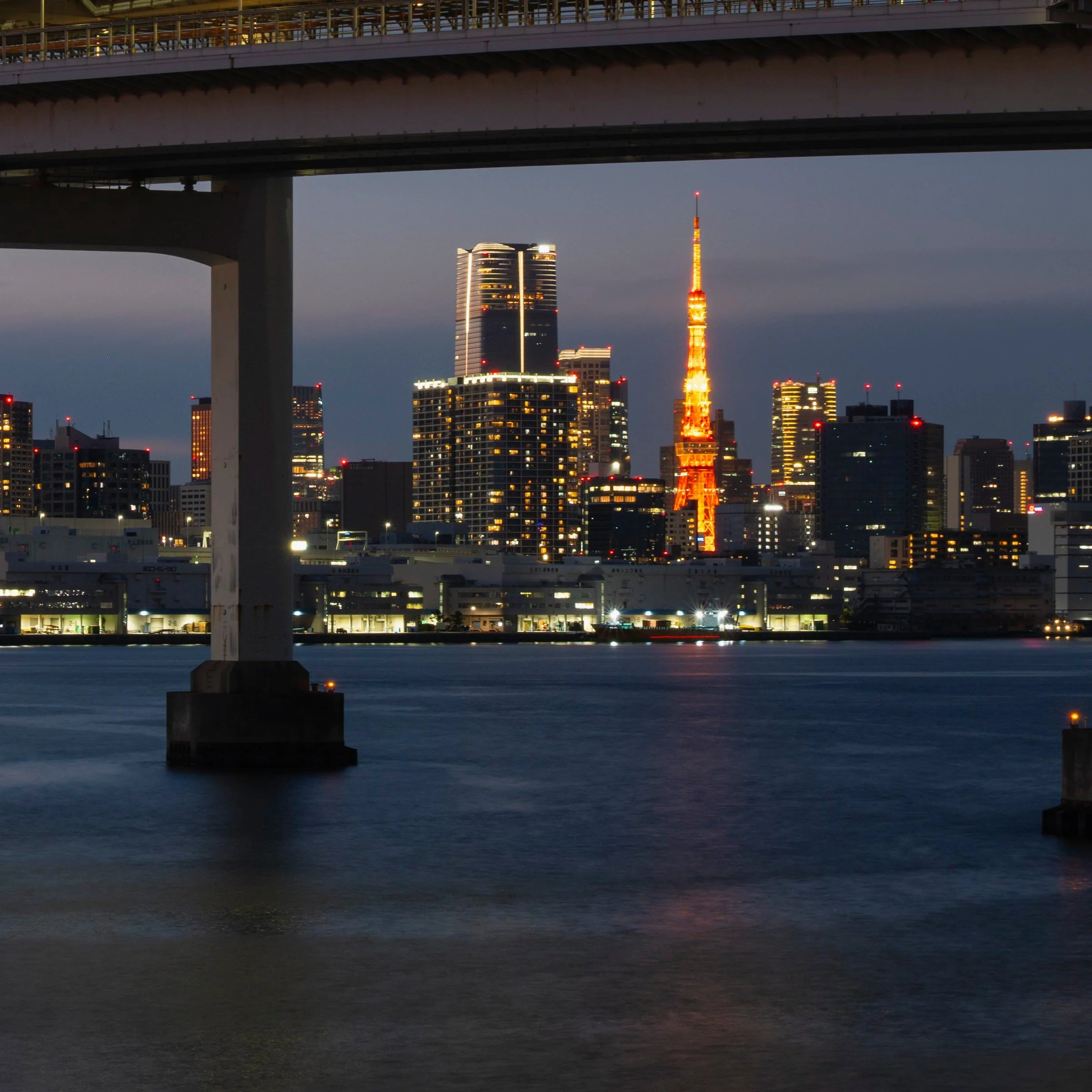 Bottom right zoom detail of the Rainbow Road print, Tokyo Tower and city lights across the bay, Odaiba, Tokyo, Japan