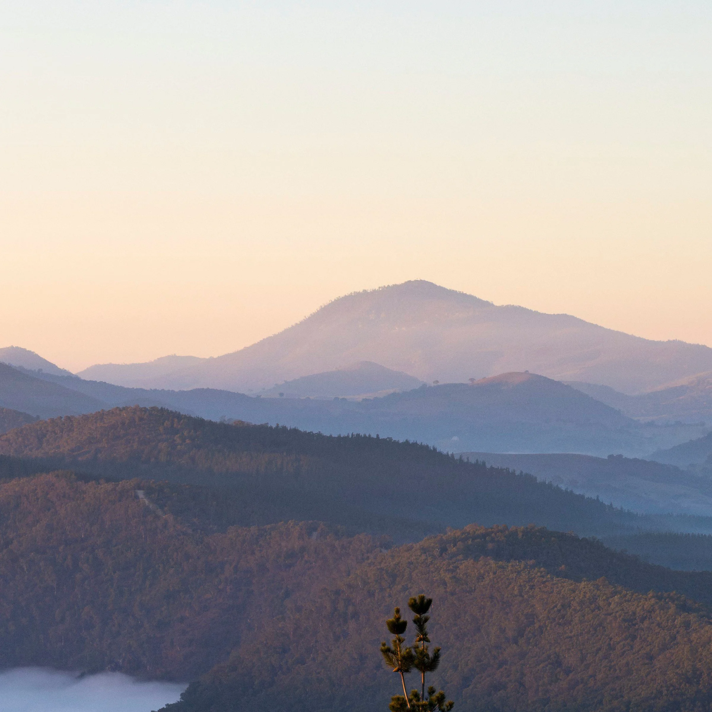 Old Macdonald — Canberra travel photography print, zoomed top right corner detail, by Matthew Sherren