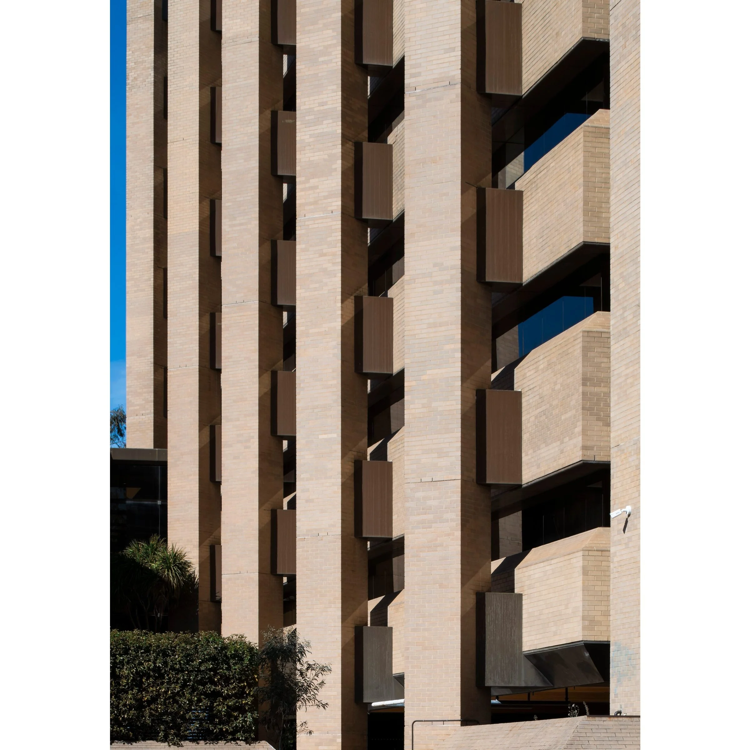 470 Northbourne #2 Canberra Architecture Print Transact House Dickson Preview by Matthew Sherren
