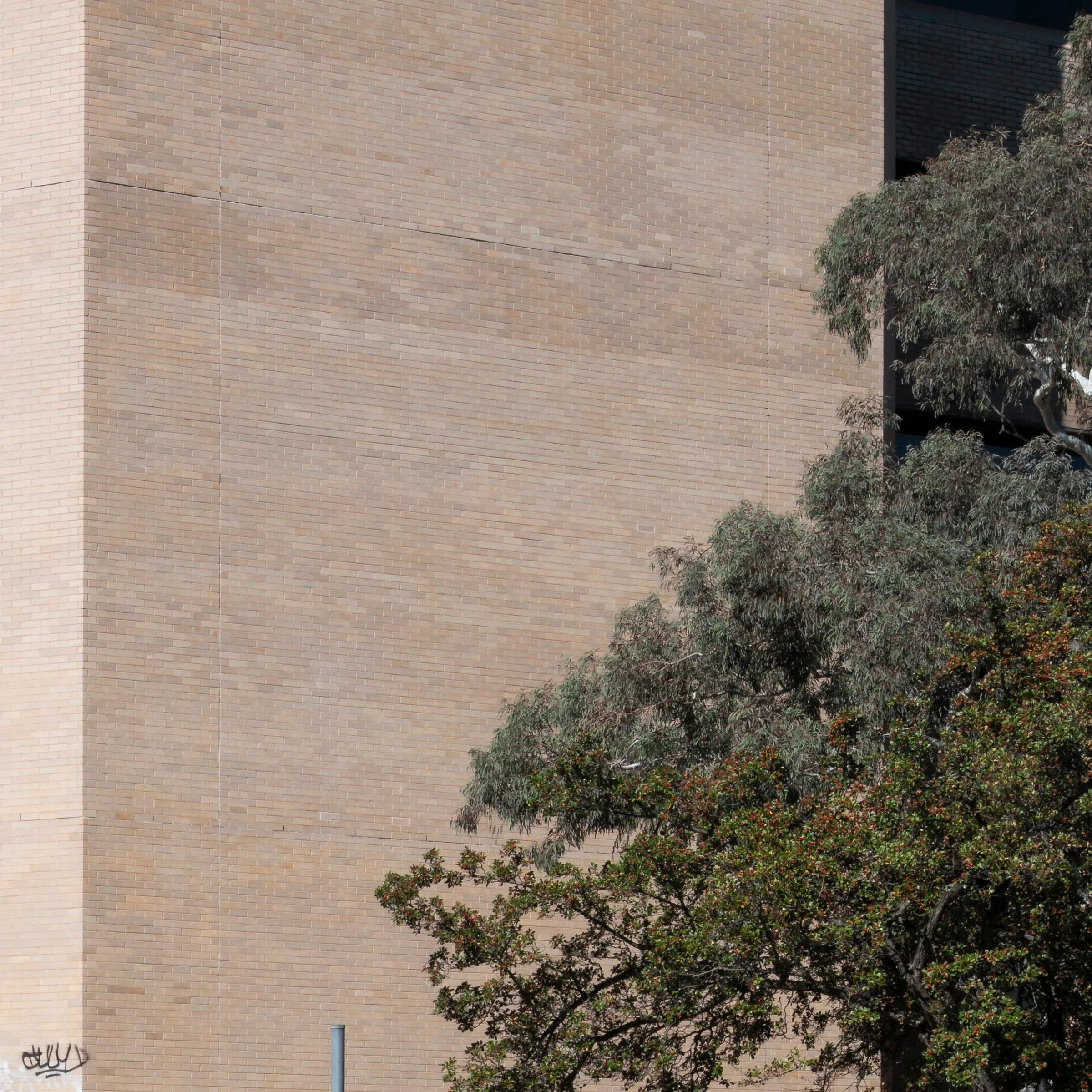 470 Northbourne #1 print detail close-up bottom right corner Transact House Dickson Canberra by Matthew Sherren
