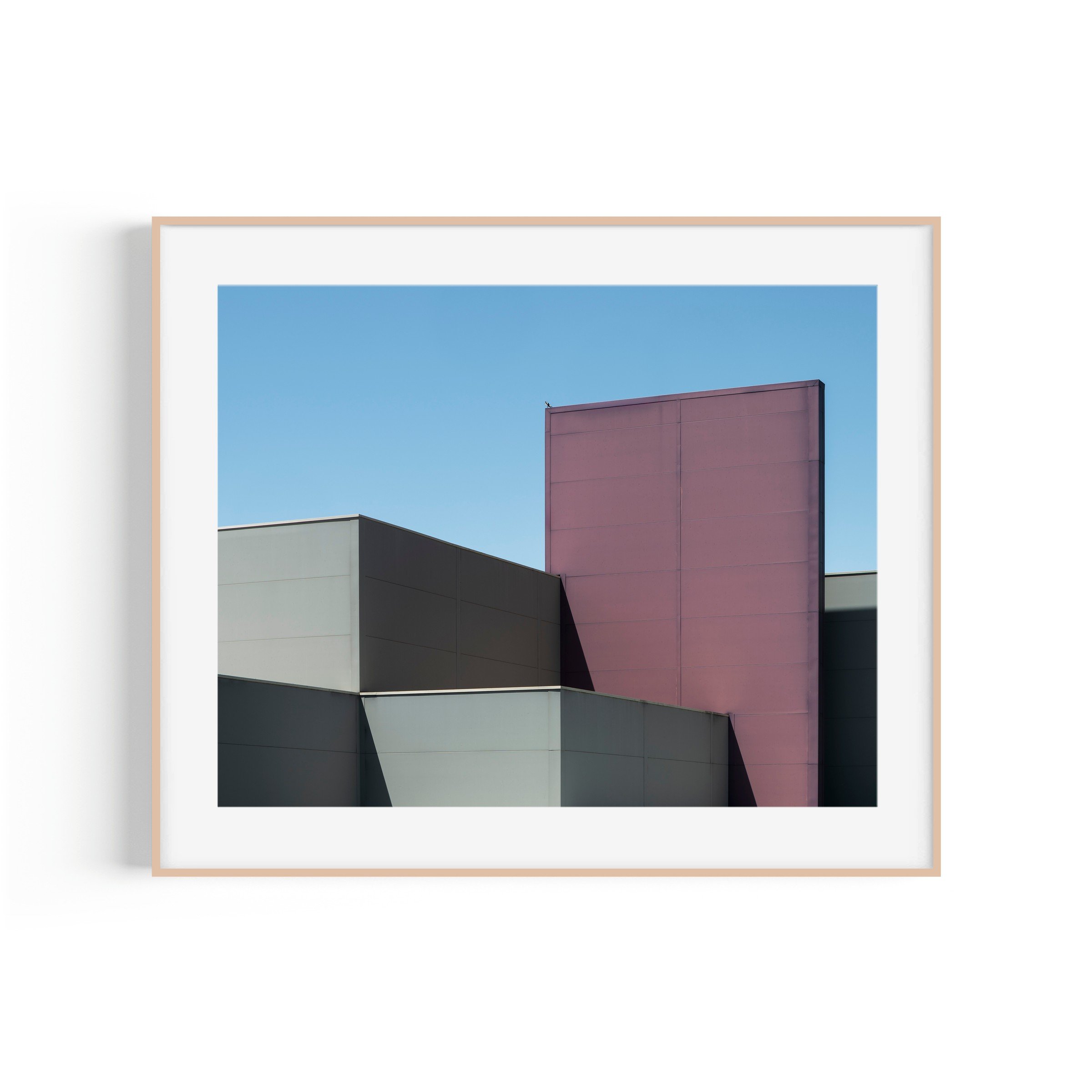 birds aren't real. bird on DFO Fyshwick Canberra minimalist print in raw oak frame by Matthew Sherren