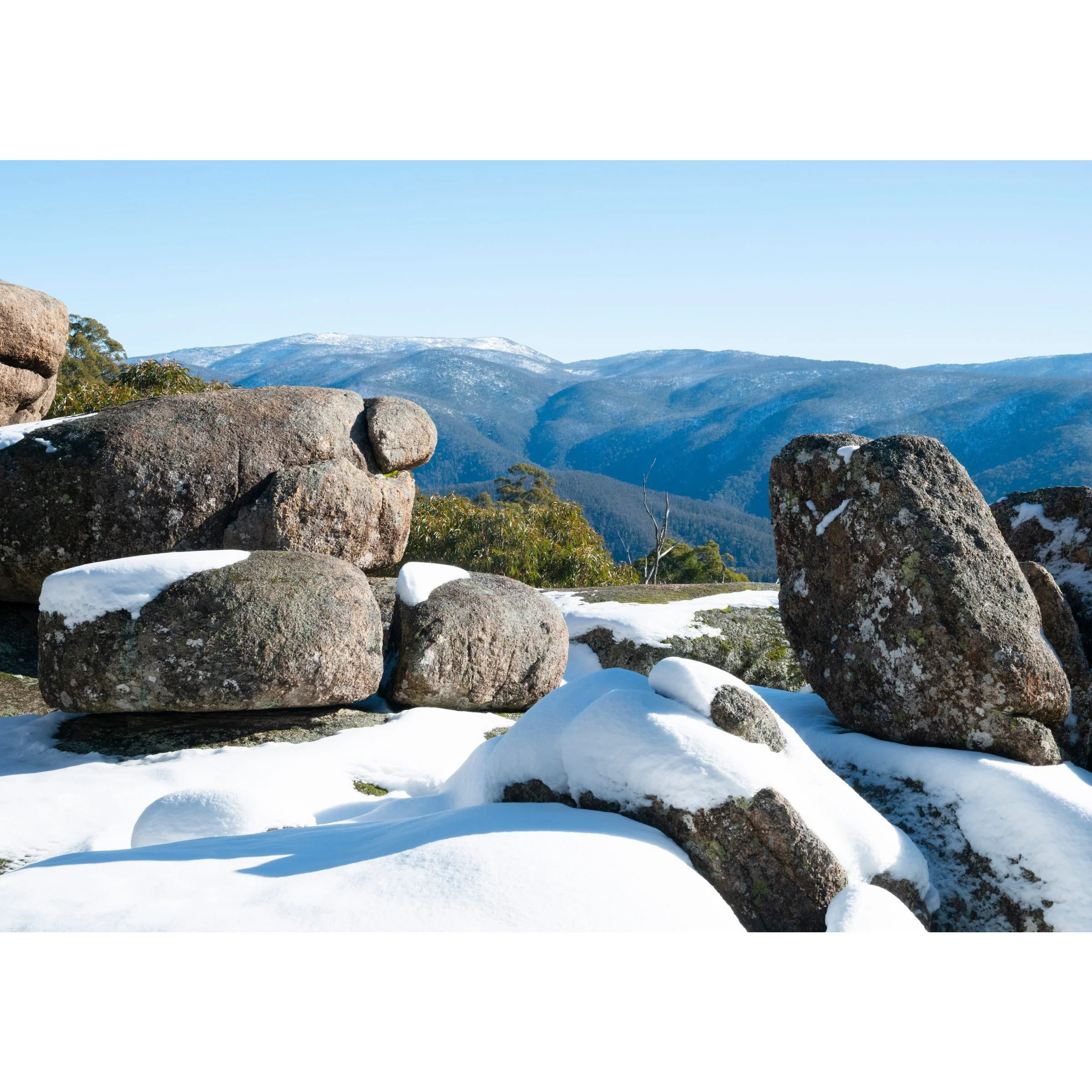 Square Rock print close up, snow covered granite and gum trees, Corin Forest Canberra, by Matthew Sherren