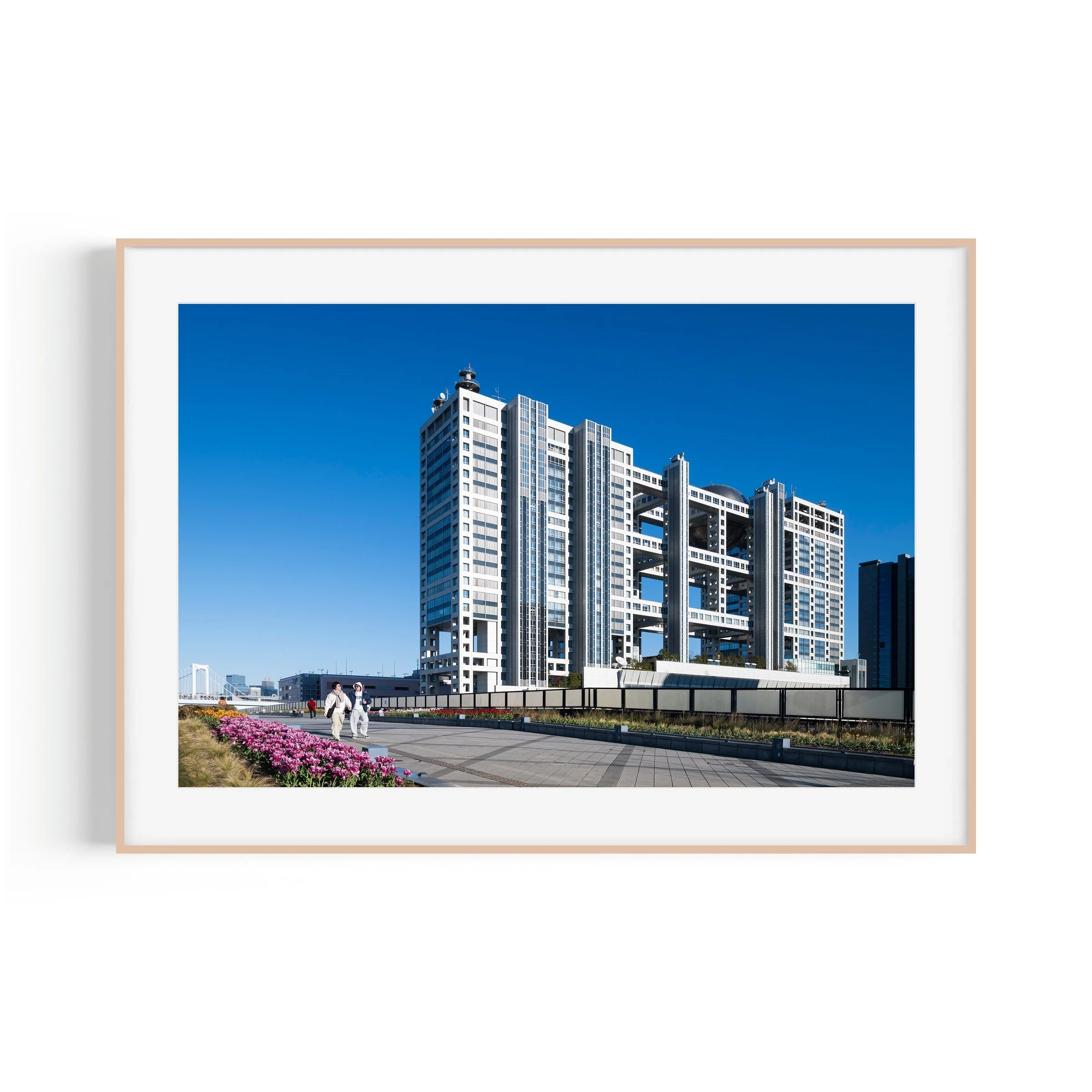 Mute City Fuji TV Headquarters Odaiba Tokyo architecture print in raw oak frame by Matthew Sherren