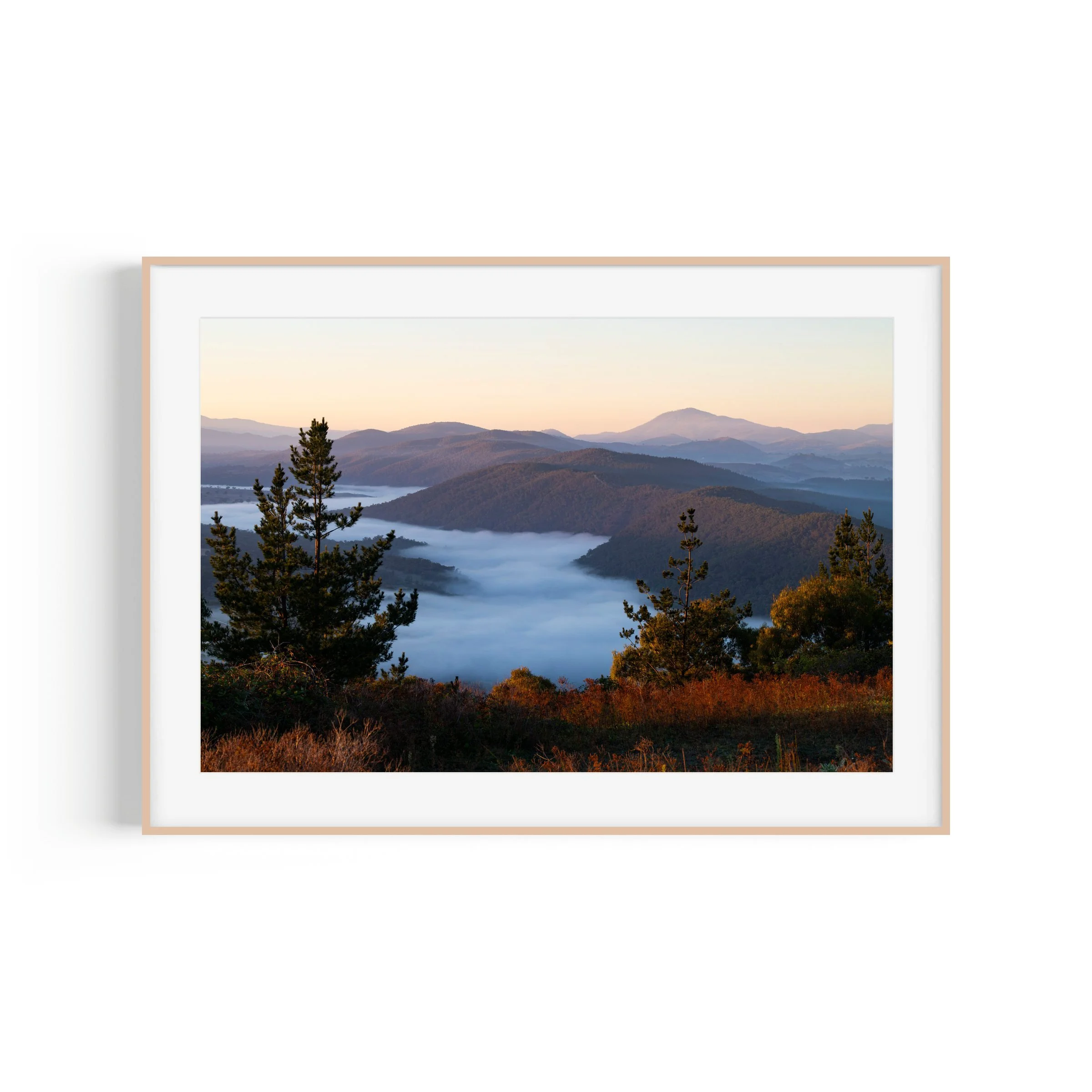 Old Macdonald Mount Macdonald Cotter Nature Reserve Canberra landscape print in raw oak frame by Matthew Sherren